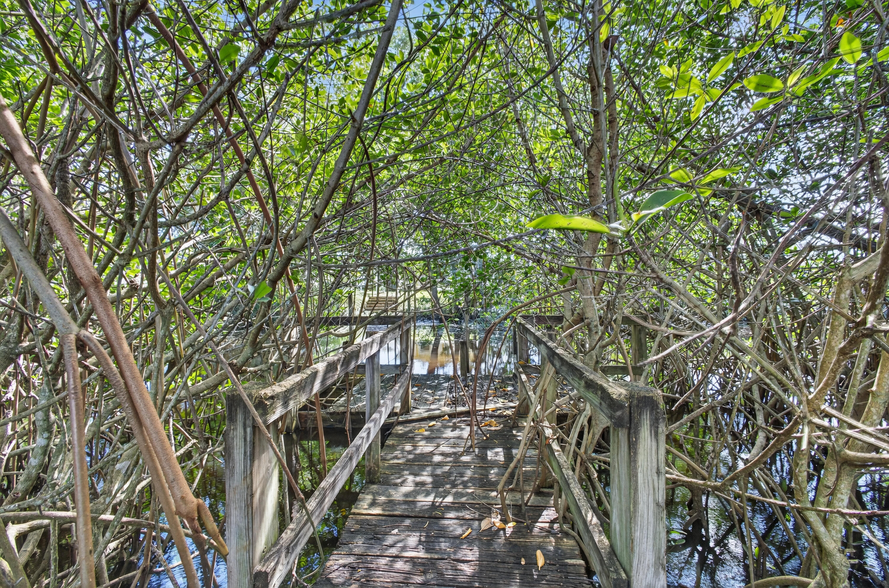 MLS #RX-11133875 image #57