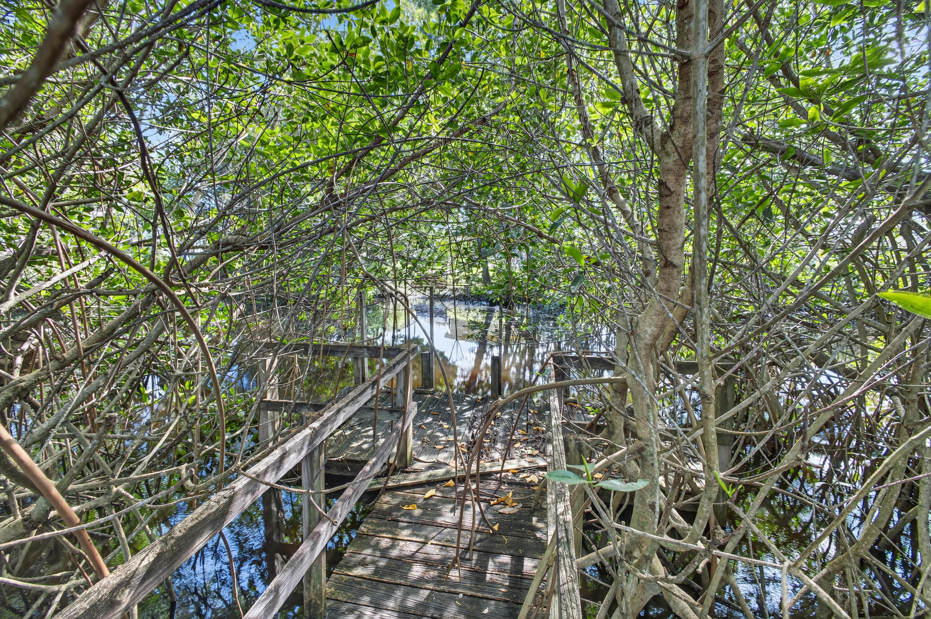 MLS #RX-11133875 image #58