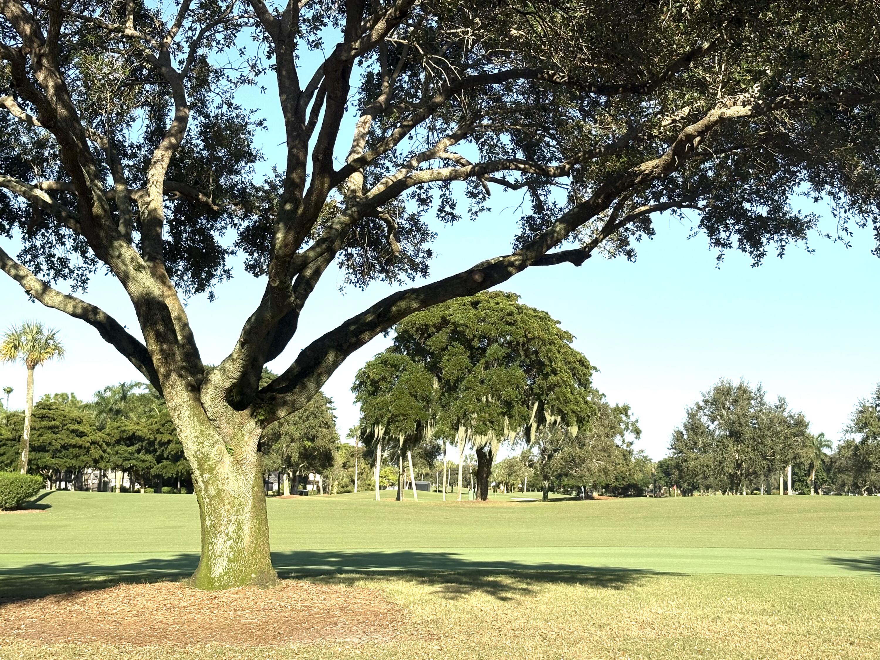 MLS #RX-11134023 image #52