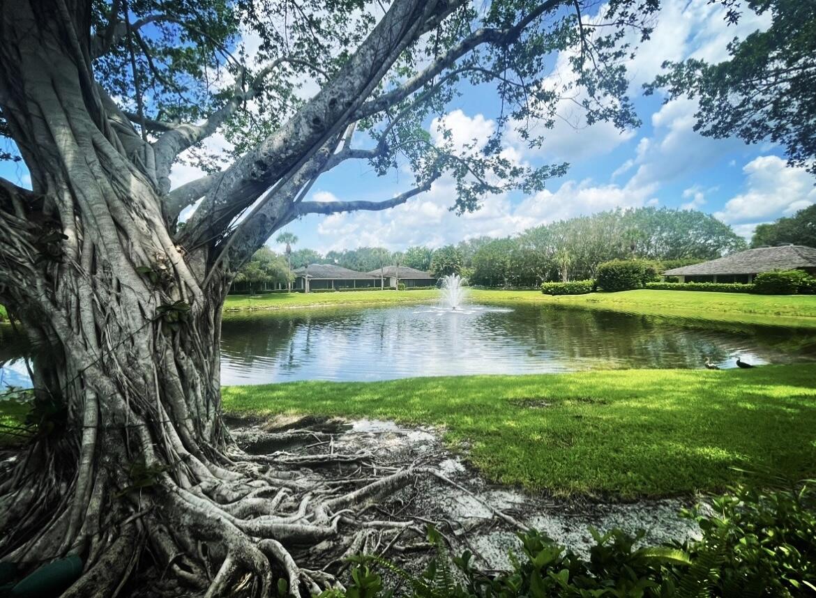 MLS #RX-11134139 image #15