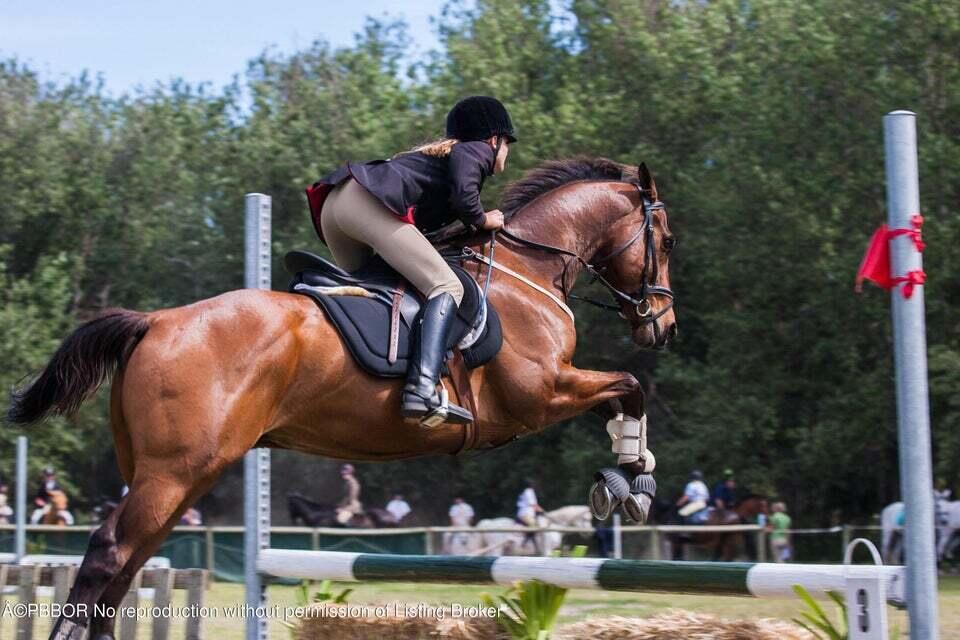 MLS #RX-11134139 image #26