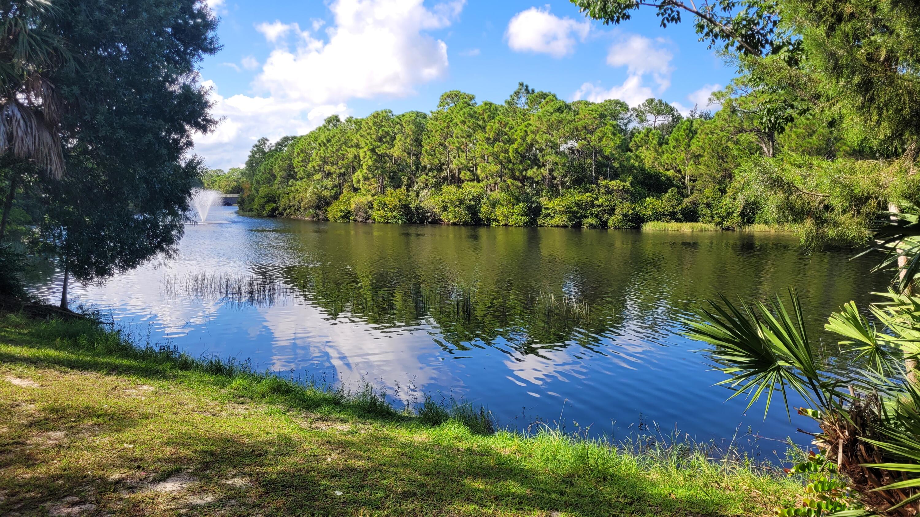 MLS #RX-11134214 image #2