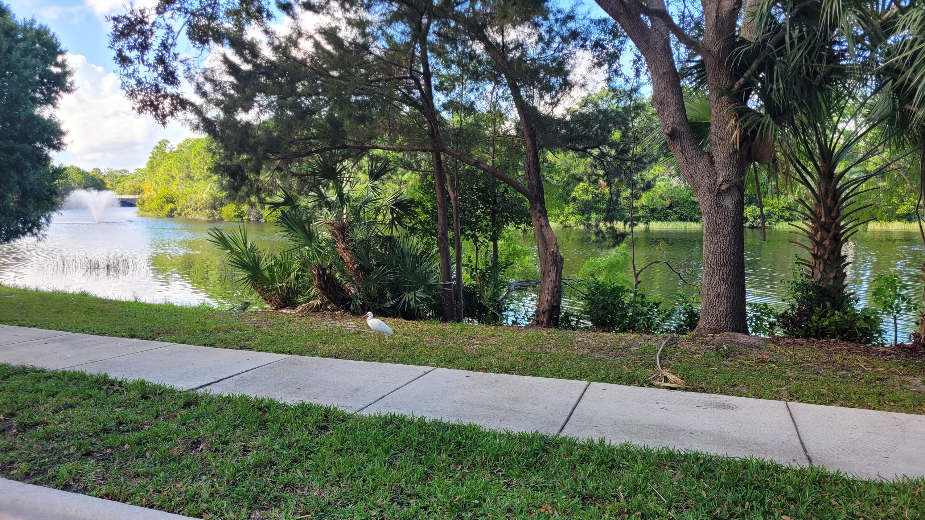 MLS #RX-11134214 image #50