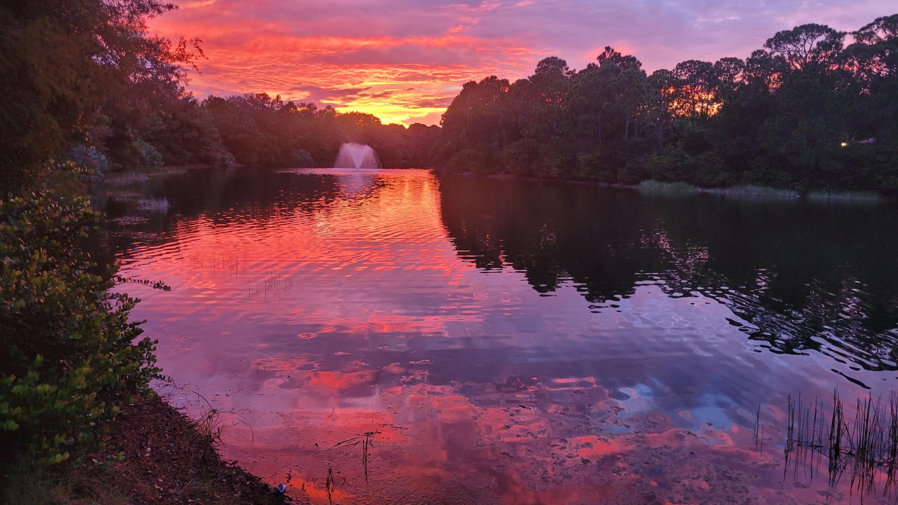 MLS #RX-11134214 image #53