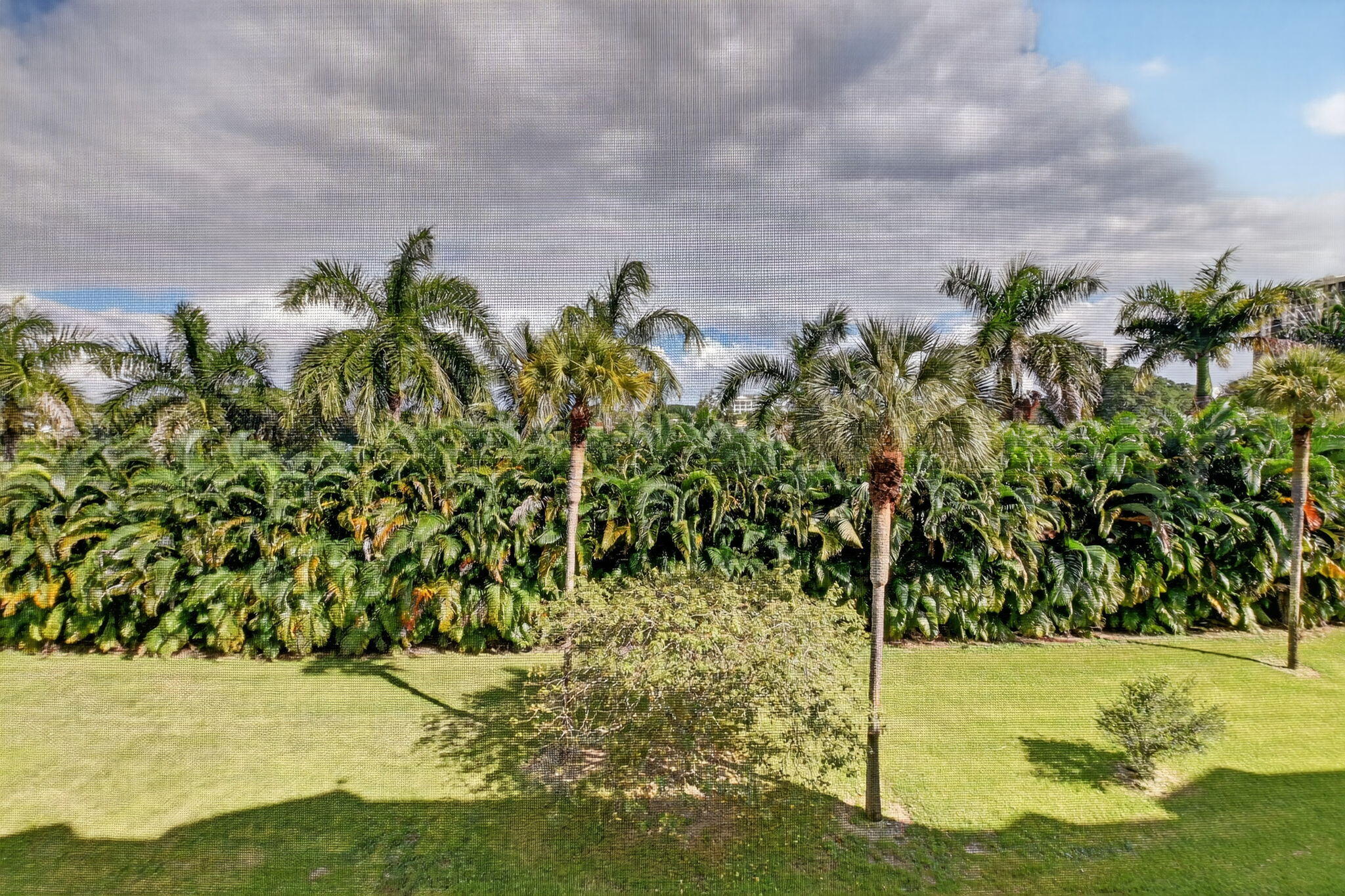 MLS #RX-11134231 image #21