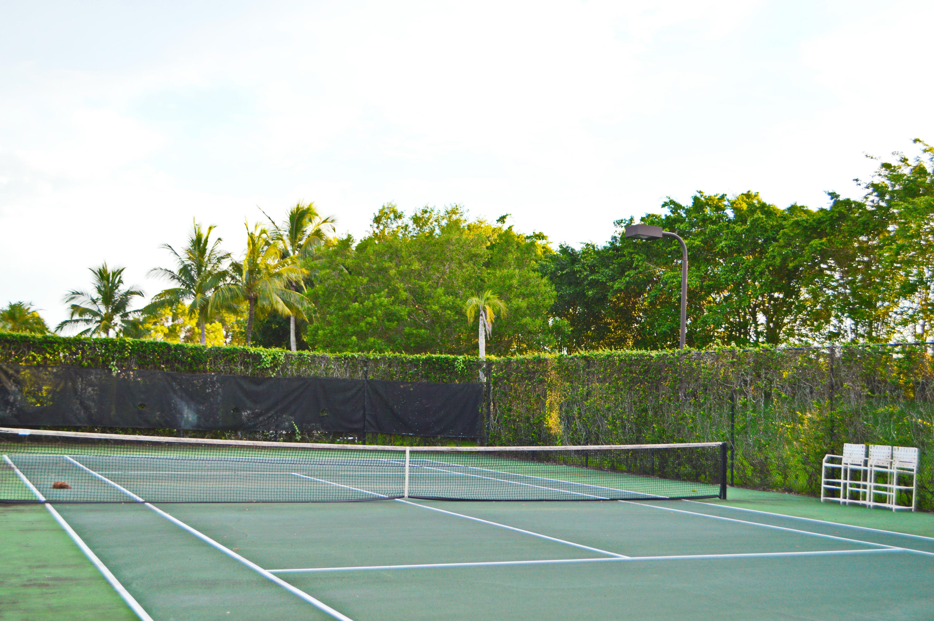 MLS #RX-11134392 image #15