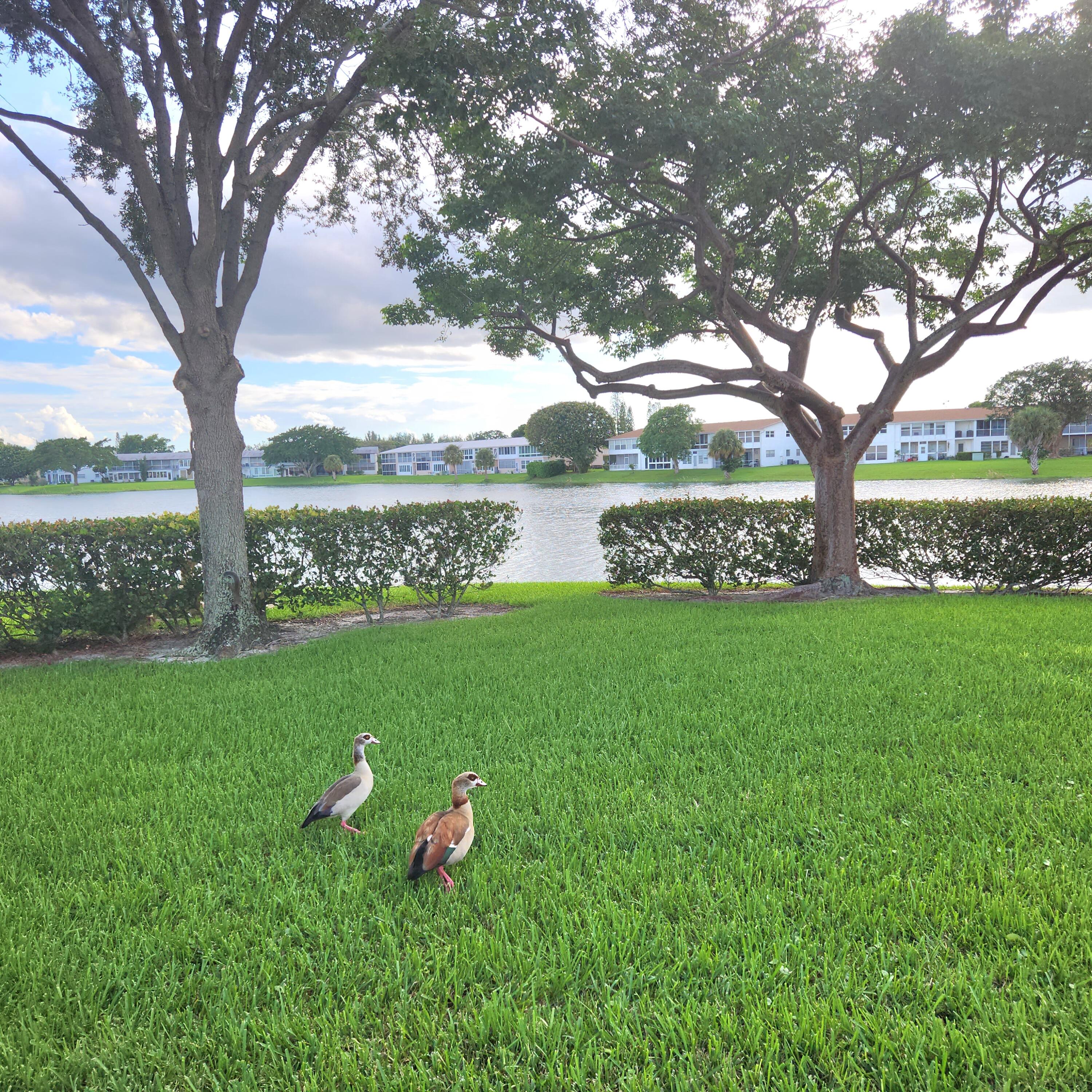 MLS #RX-11134580 image #32