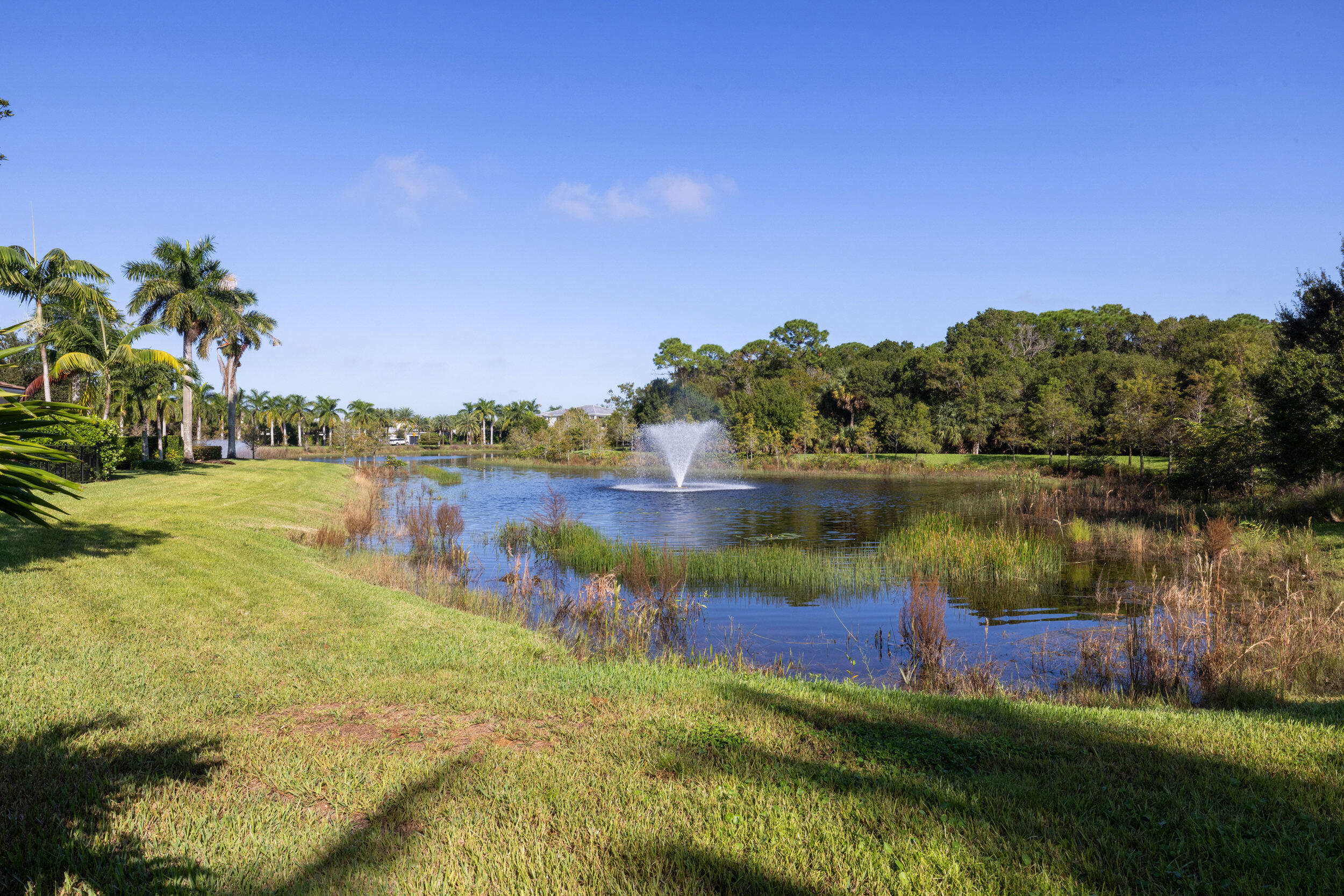 MLS #RX-11134710 image #5