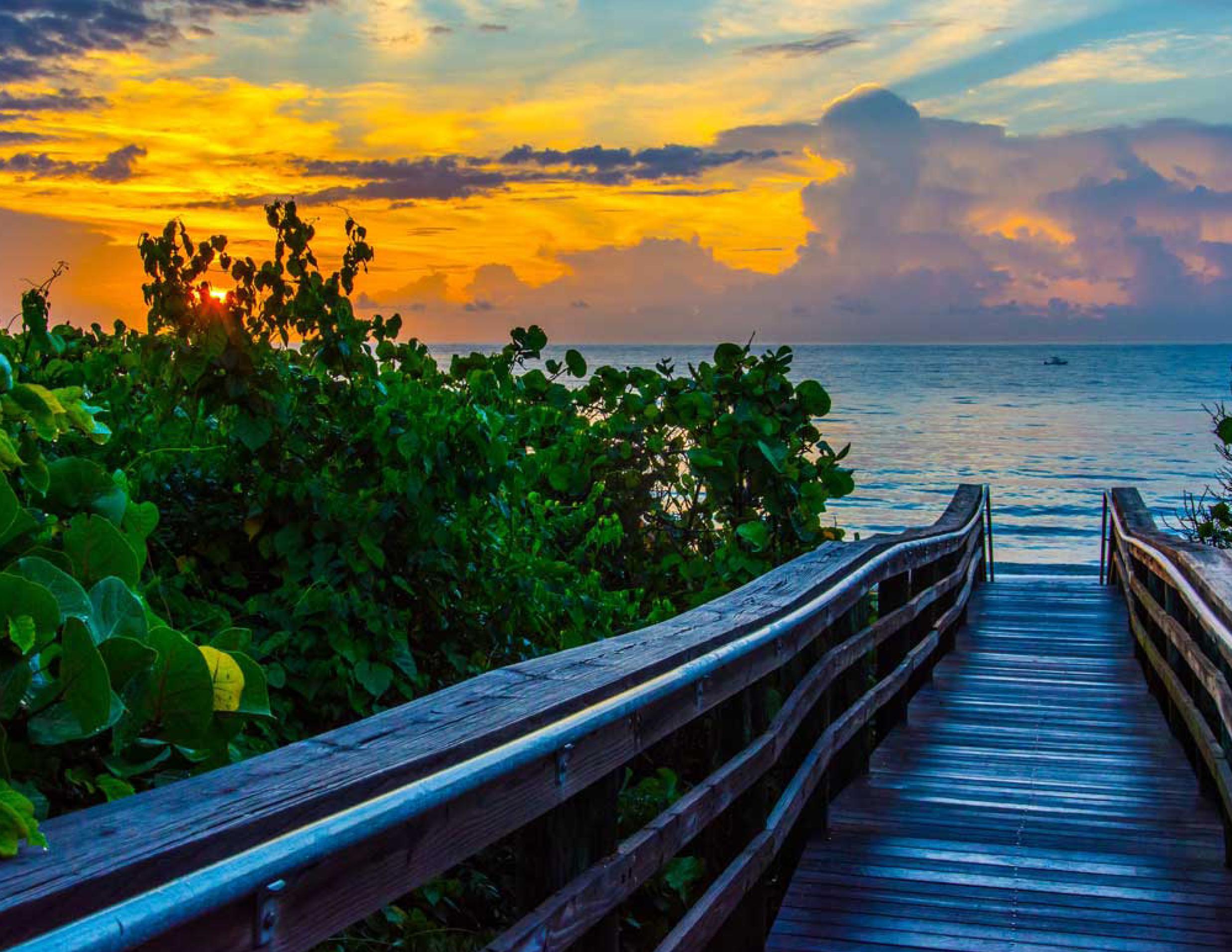 MLS #RX-11134787 image #40