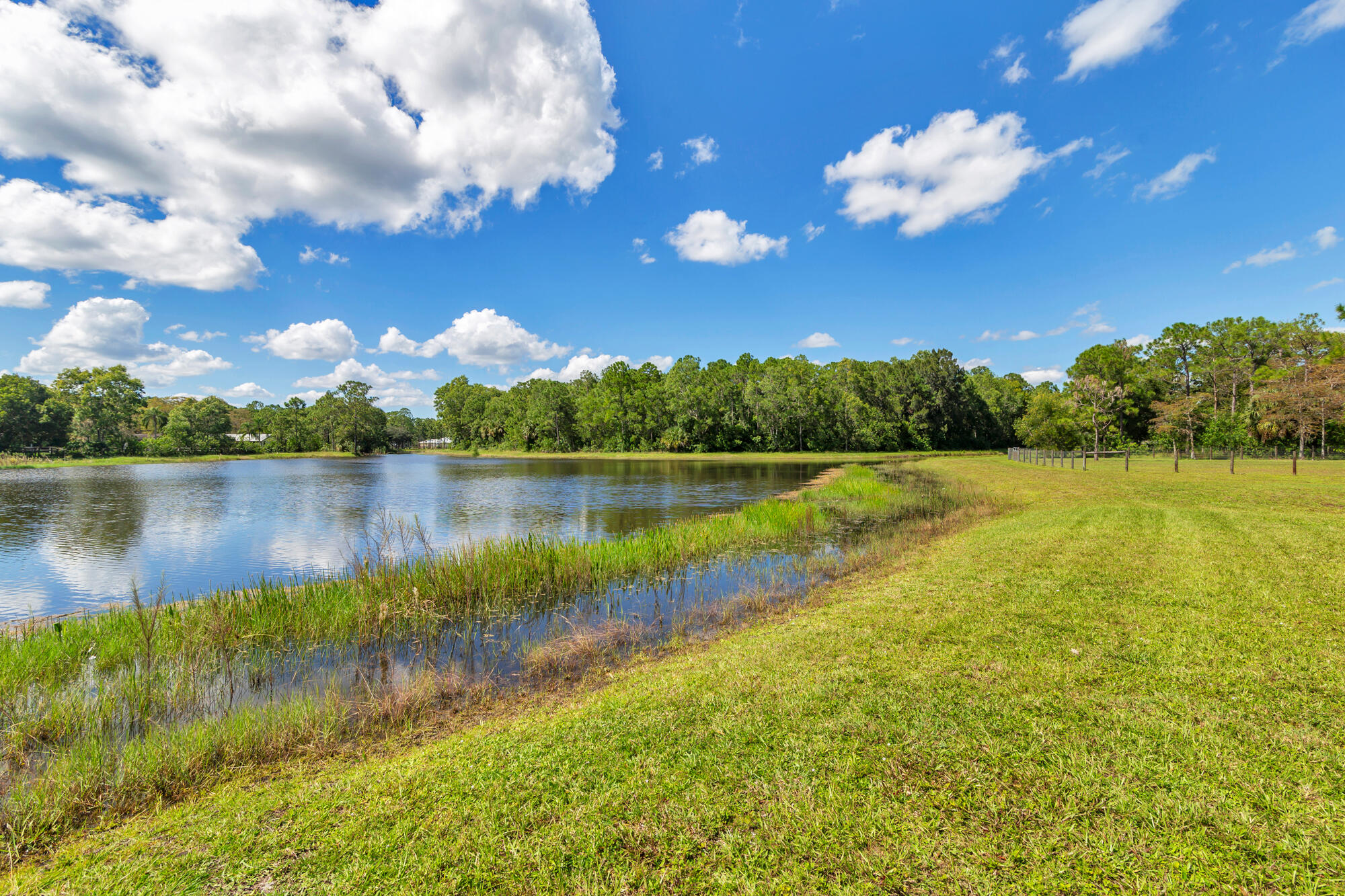 MLS #RX-11134875 image #42