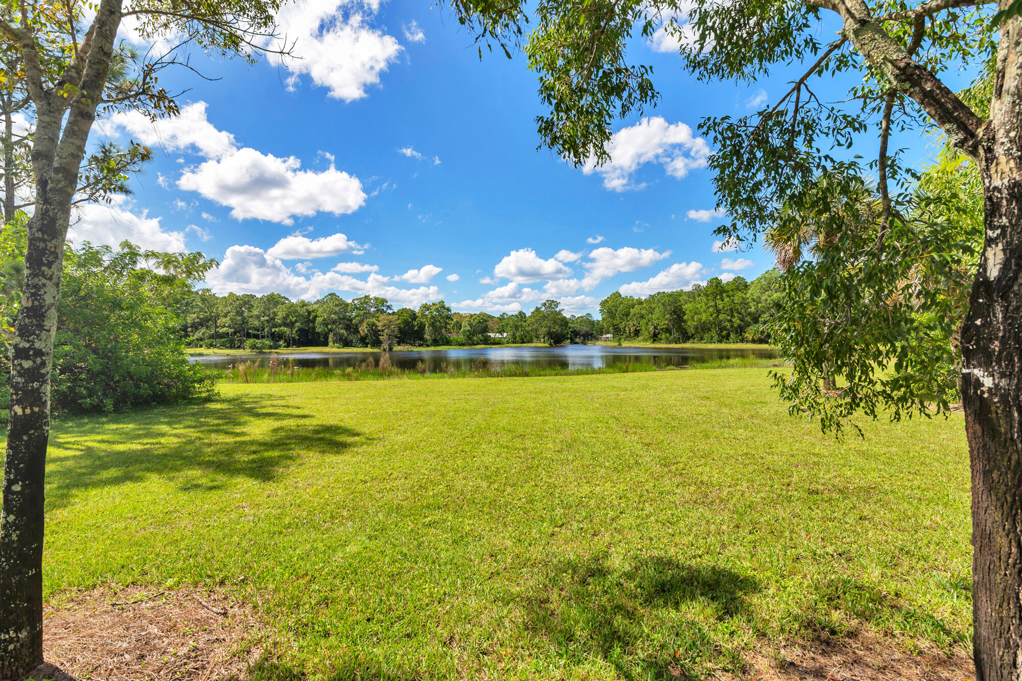 MLS #RX-11134875 image #51