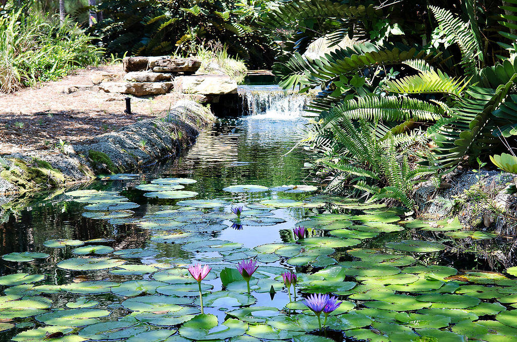 MLS #RX-11135048 image #83