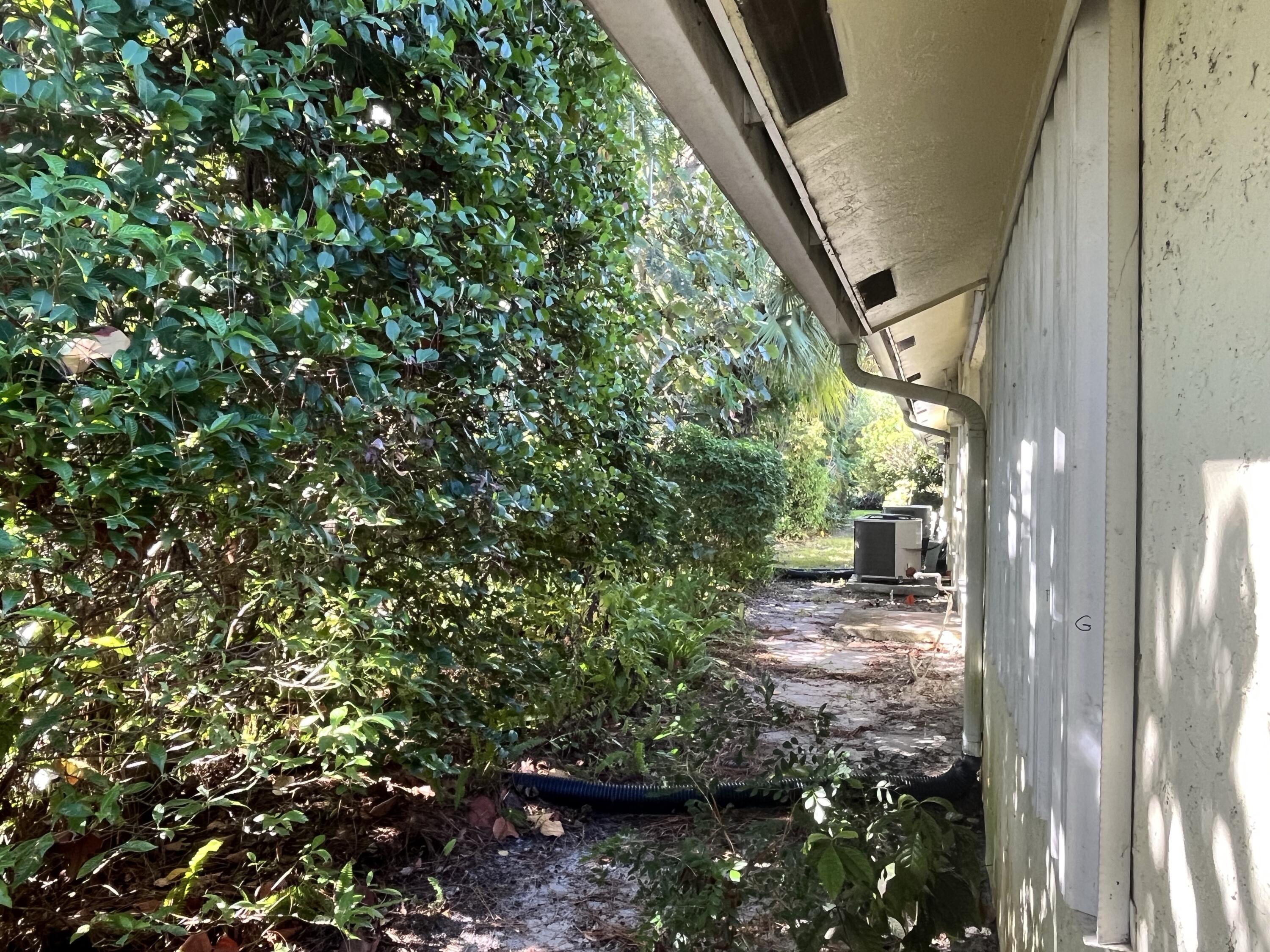 MLS #RX-11135075 image #8