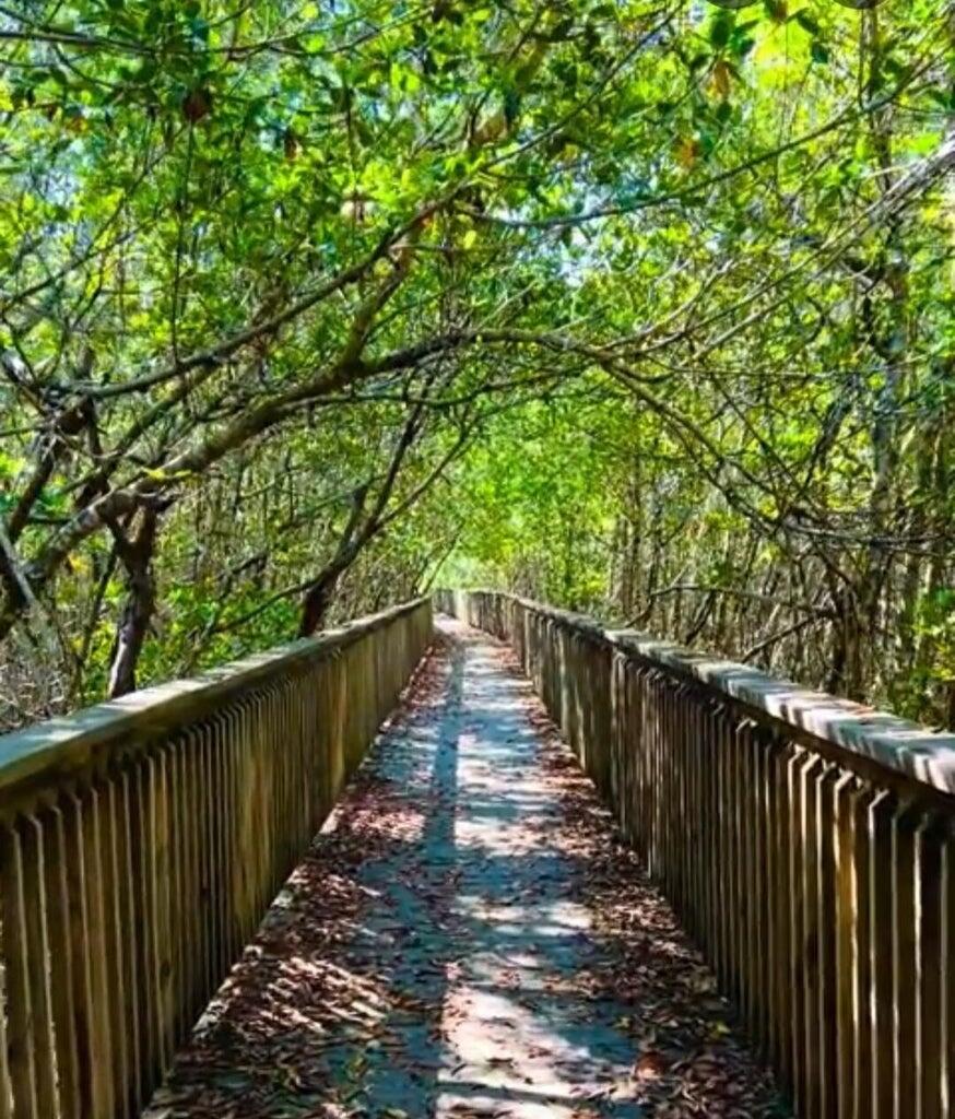 MLS #RX-11135307 image #30