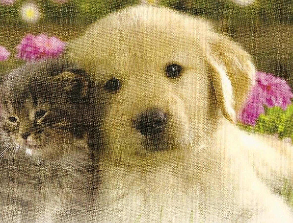 MLS #RX-11135570 image #56