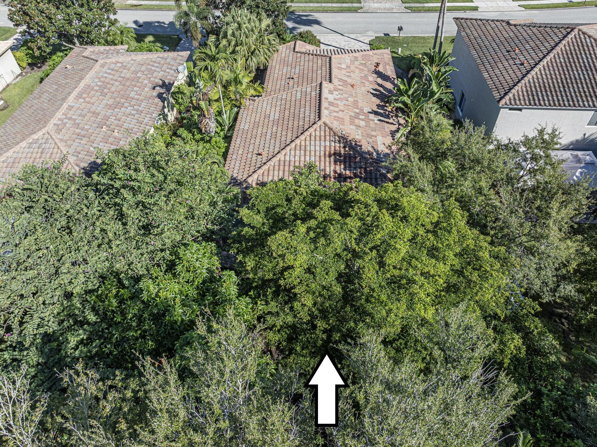 MLS #RX-11135641 image #29