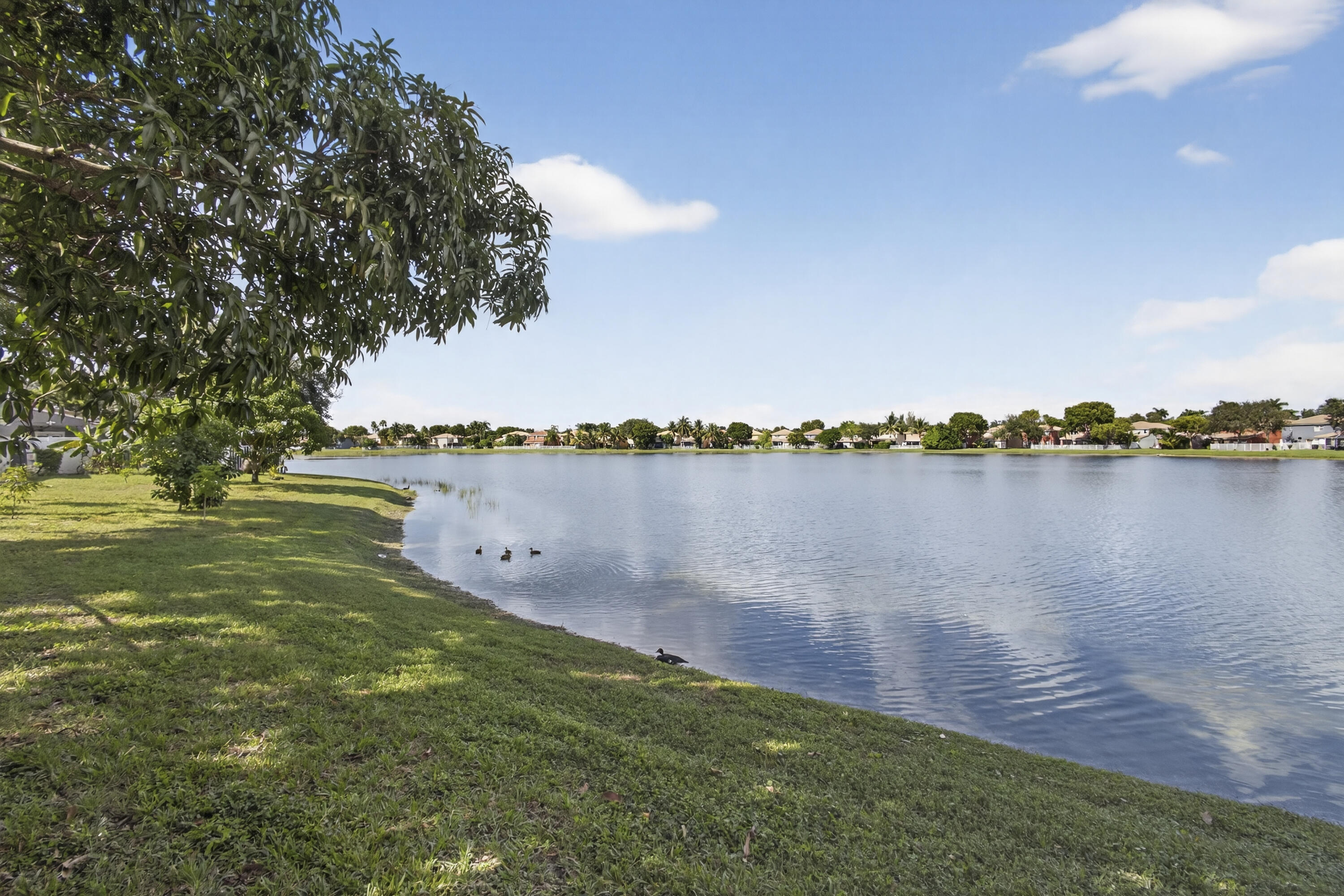 MLS #RX-11135731 image #48