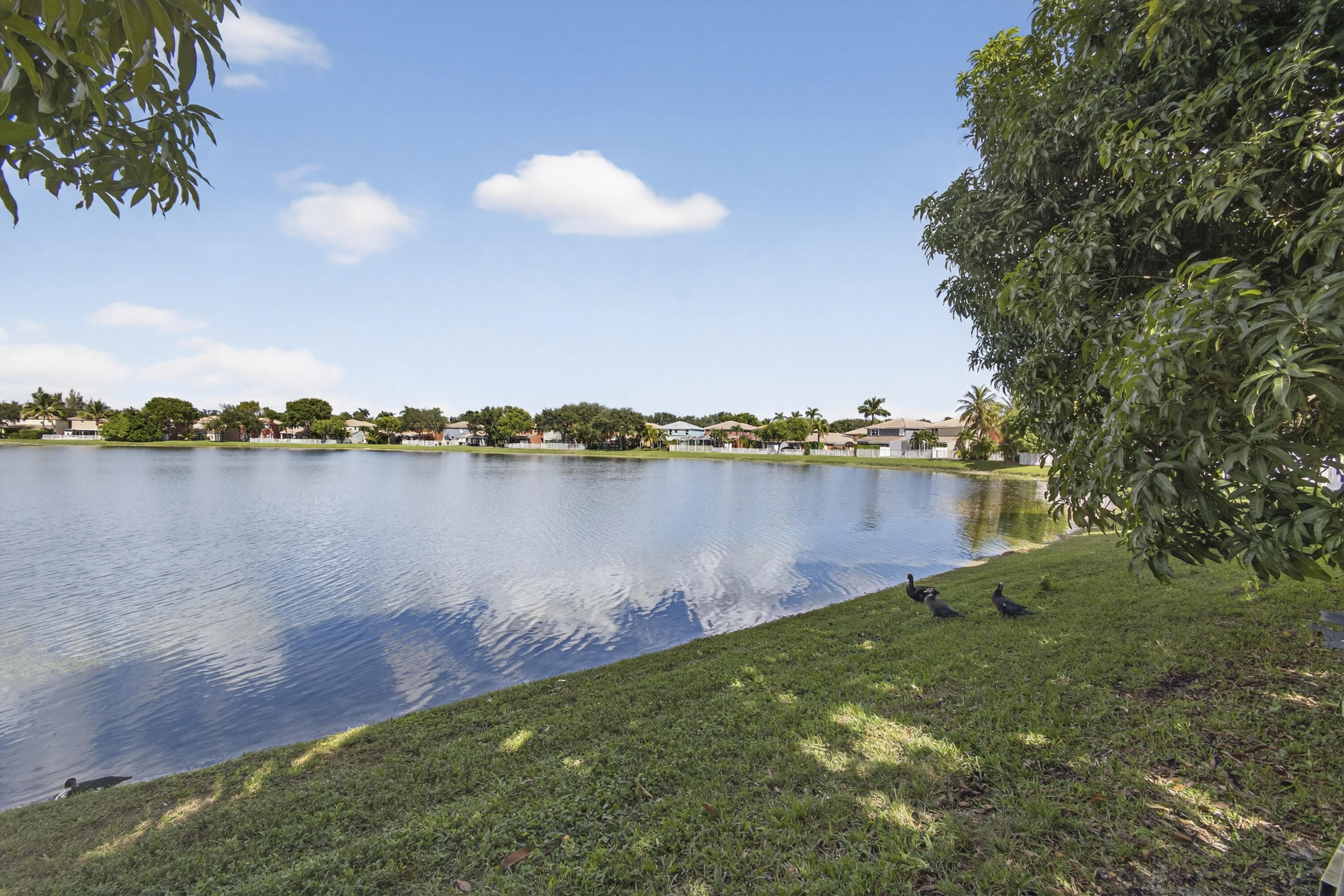 MLS #RX-11135731 image #49