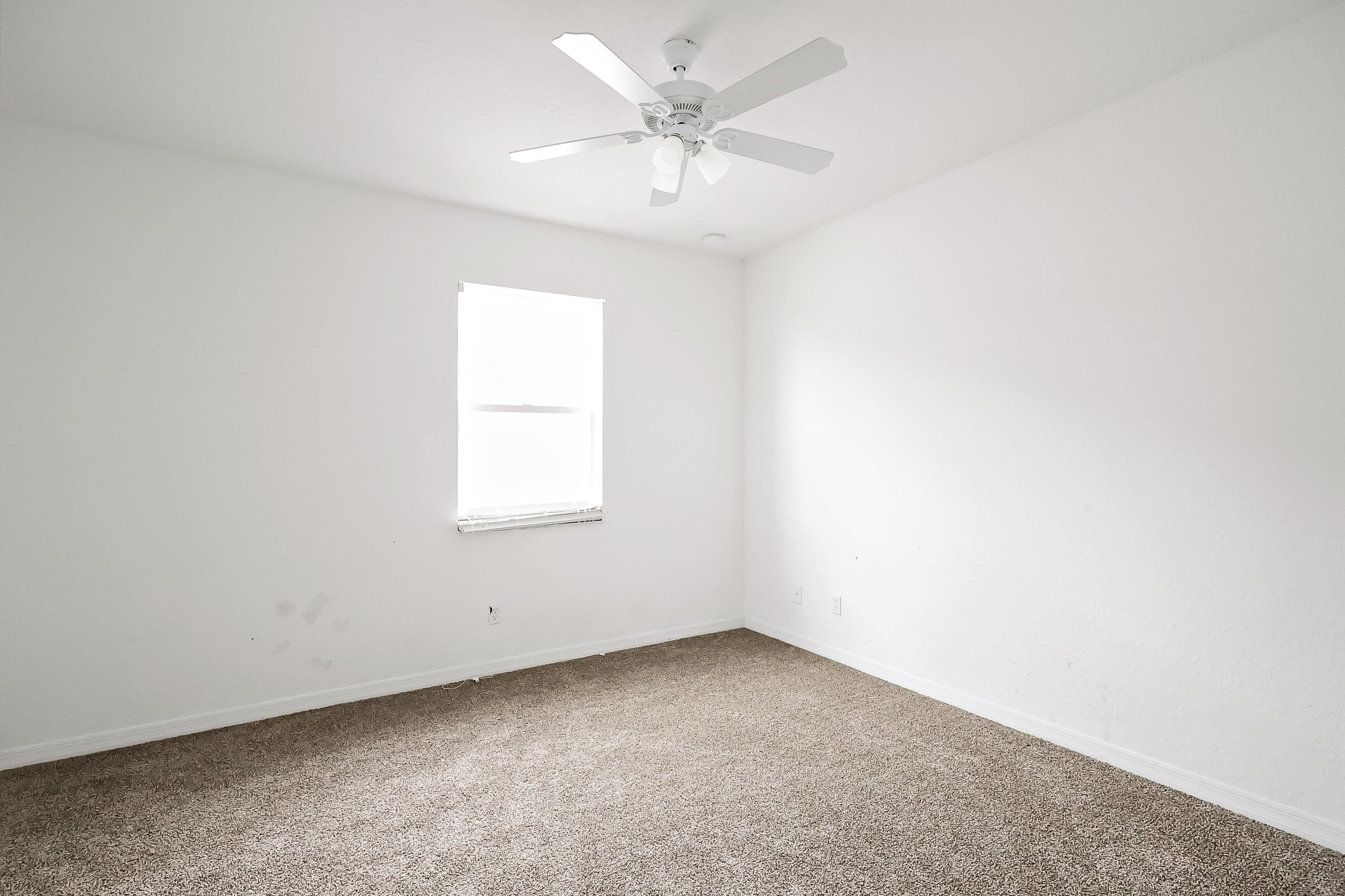 MLS #RX-11135756 image #20