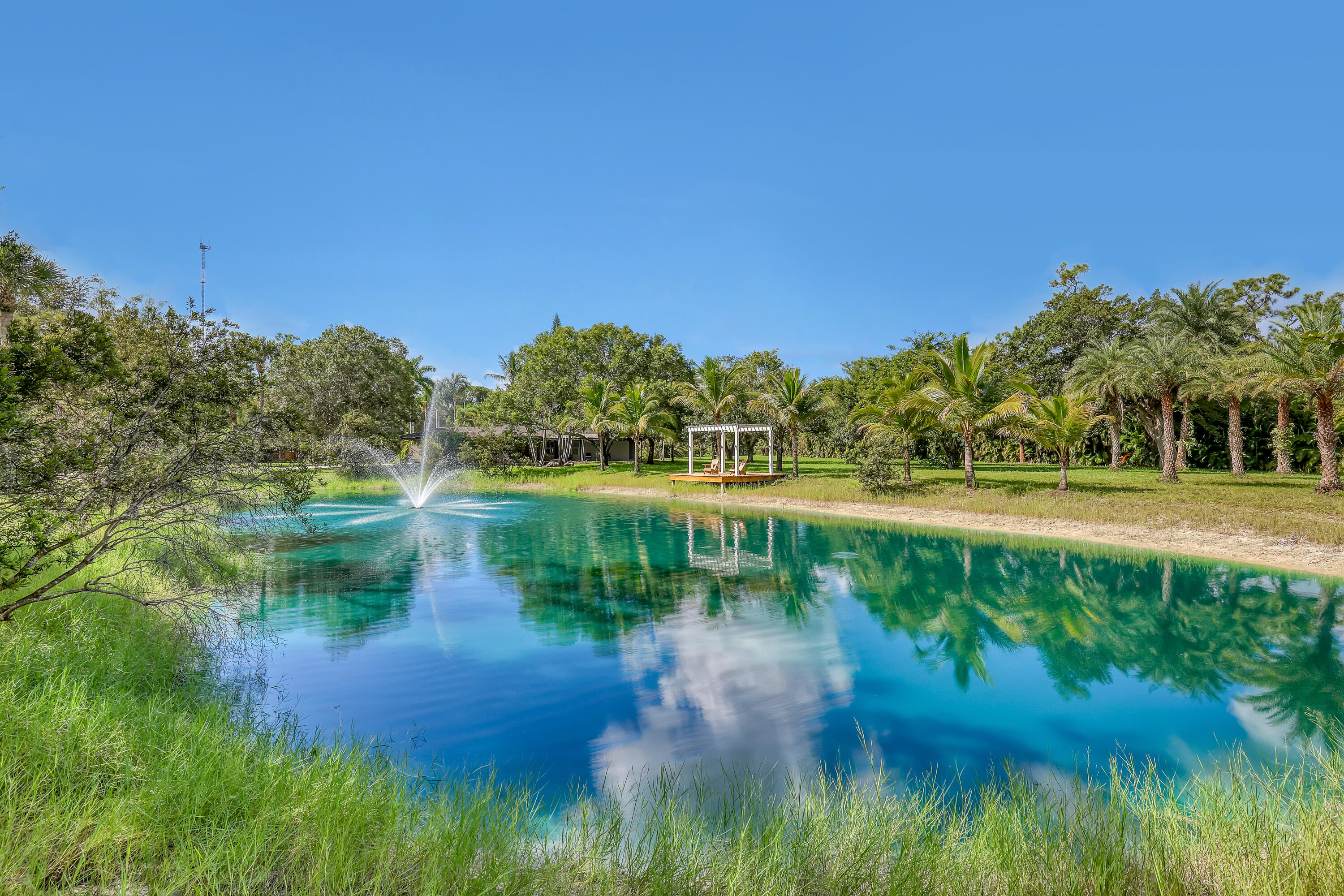 MLS #RX-11135936 image #6