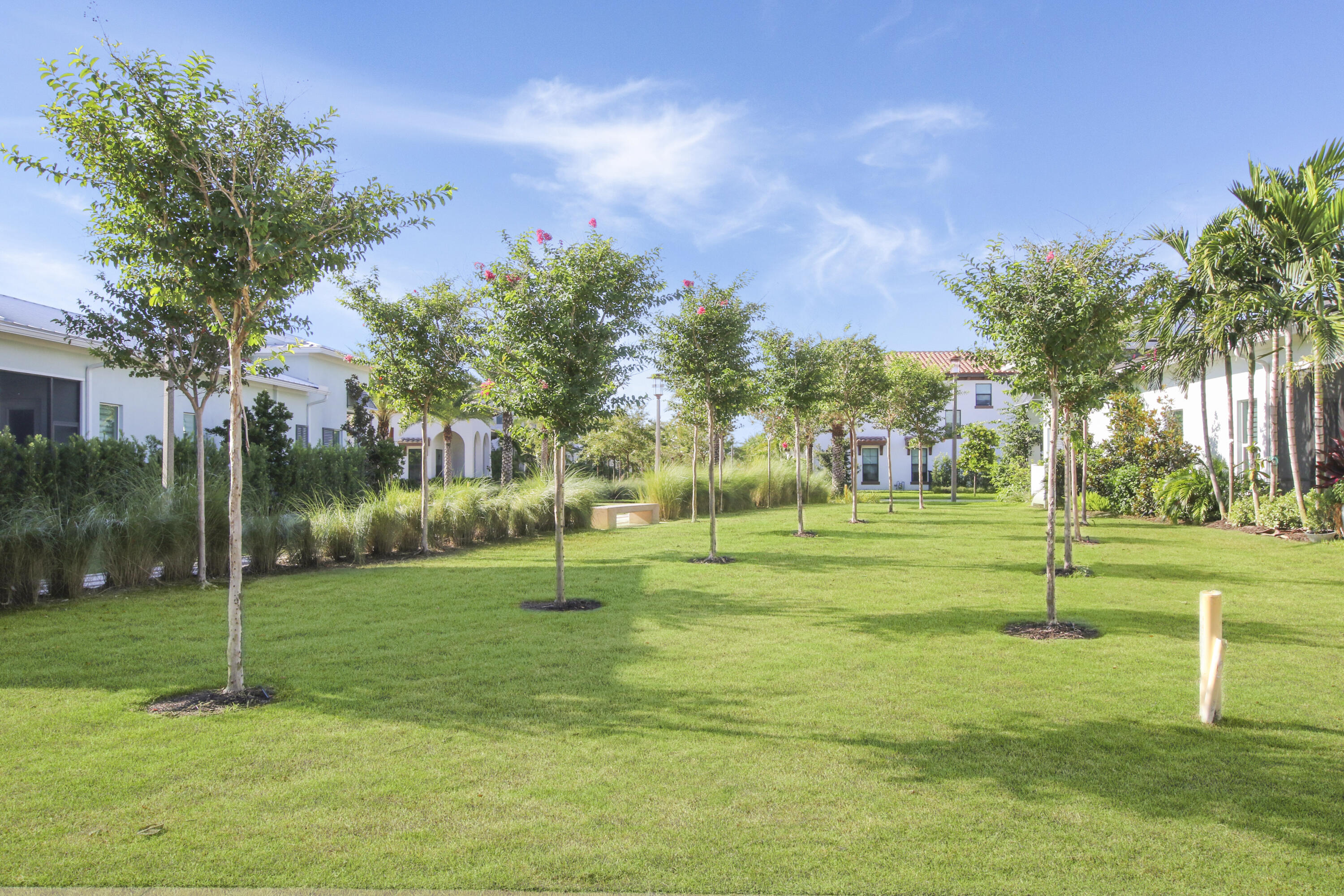 MLS #RX-10866568 image #29