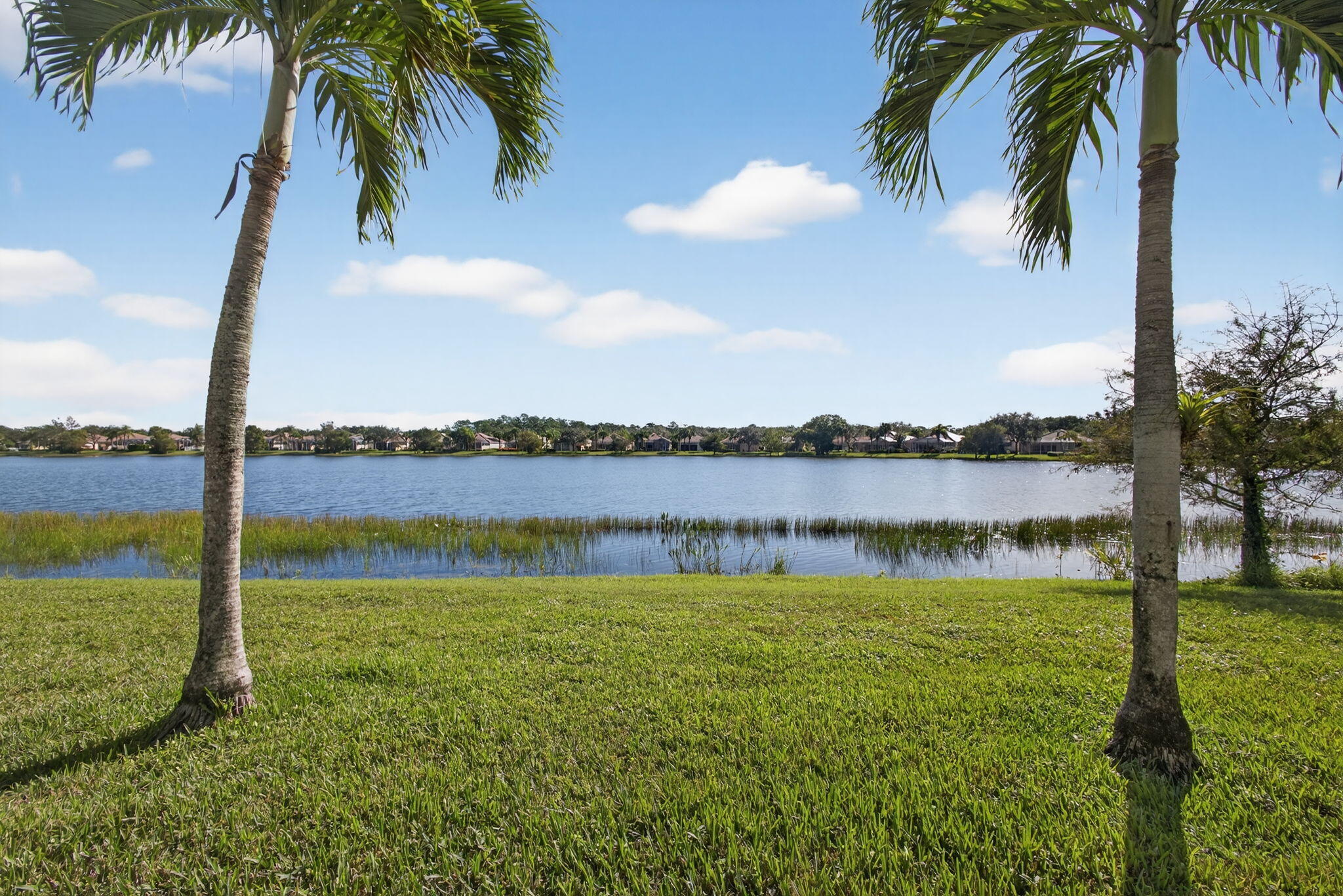 MLS #RX-11136154 image #5