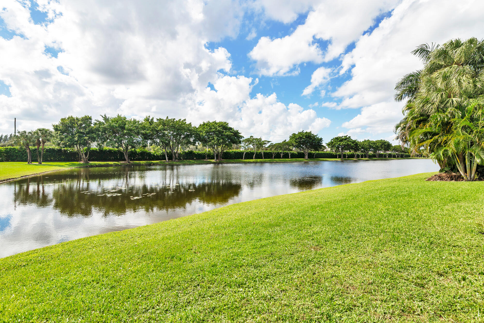 MLS #RX-11136297 image #29