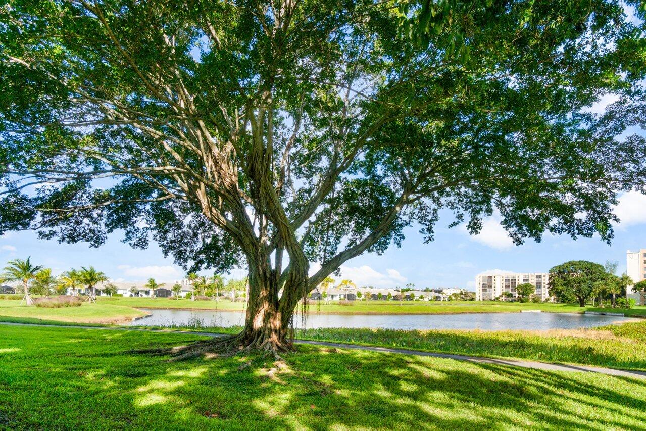 MLS #RX-10503319 image #25