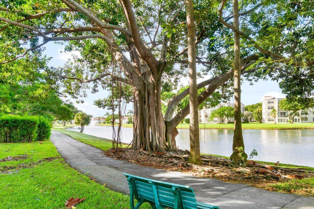 MLS #RX-10503319 image #28