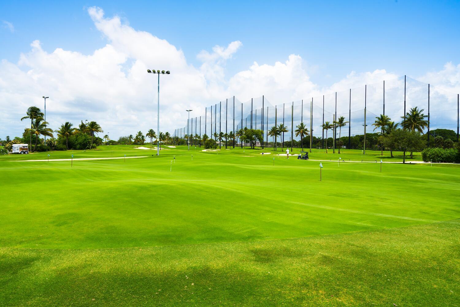 MLS #RX-11136462 image #66