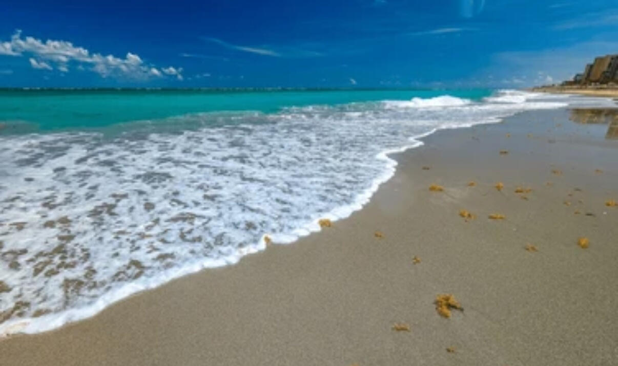 MLS #RX-11136481 image #48