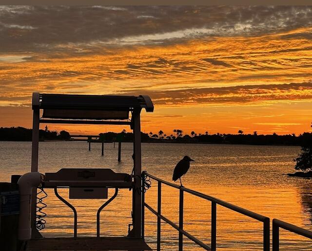 MLS #RX-11136608 image #46