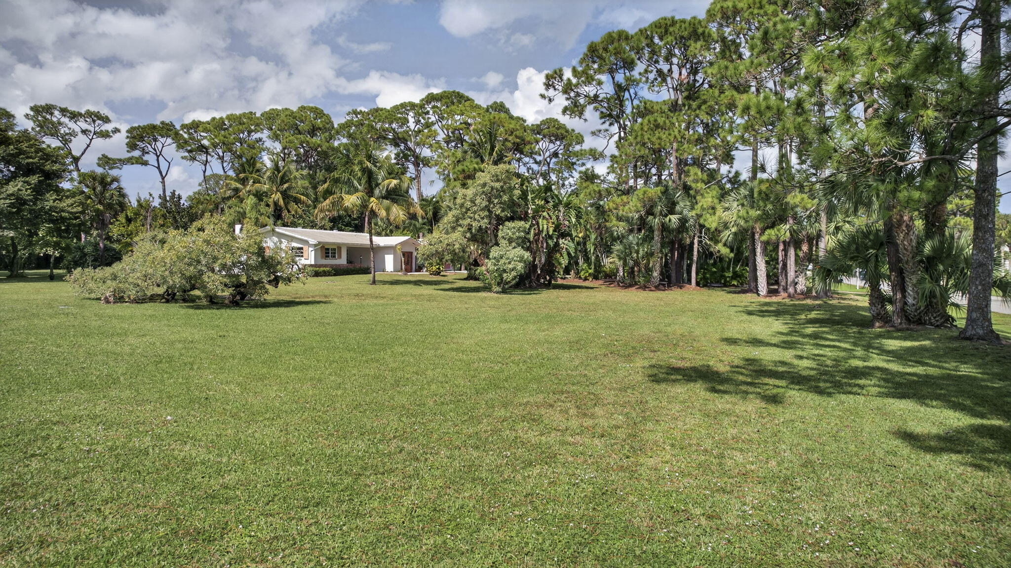 MLS #RX-11136643 image #53