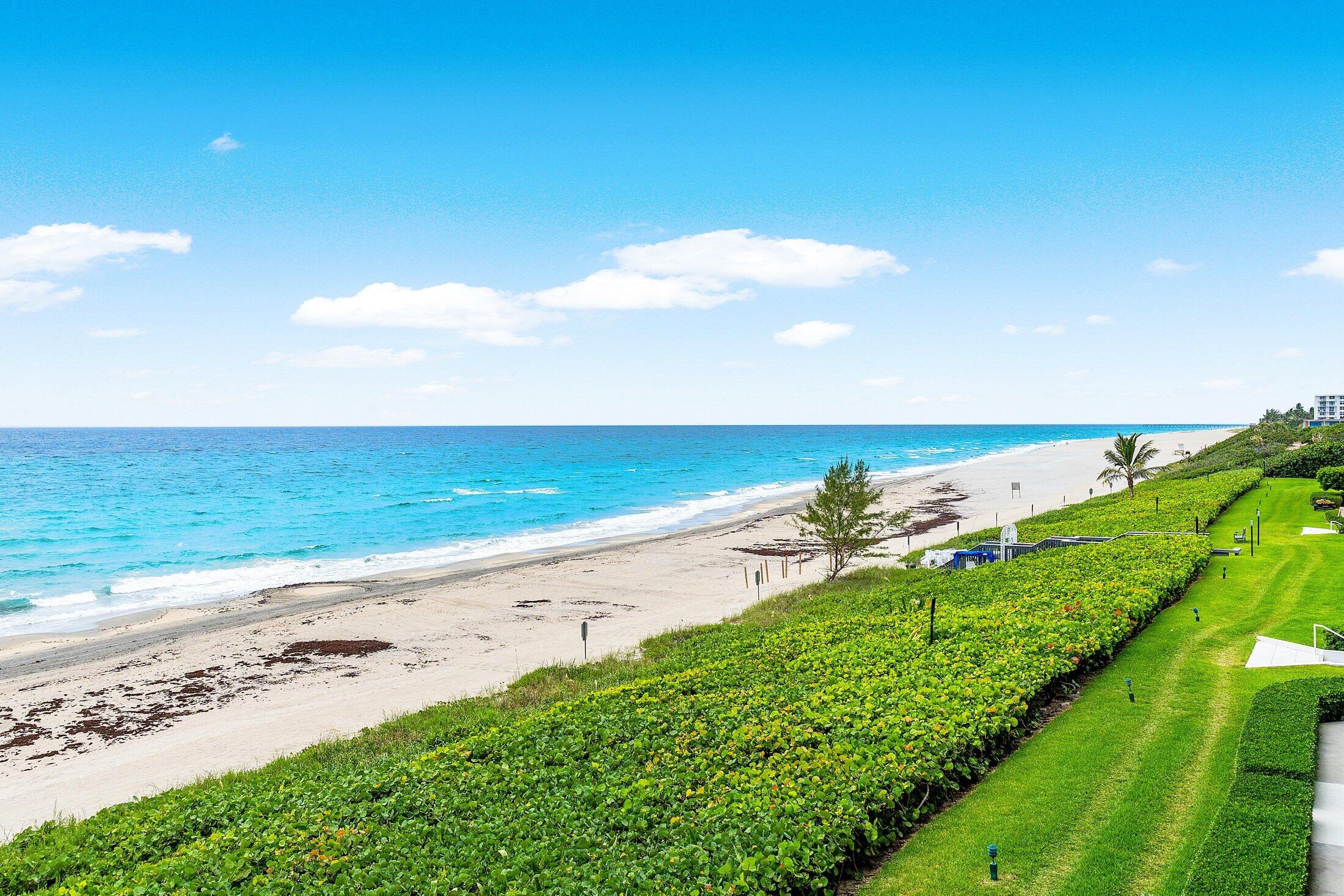 MLS #RX-11136752 image #12