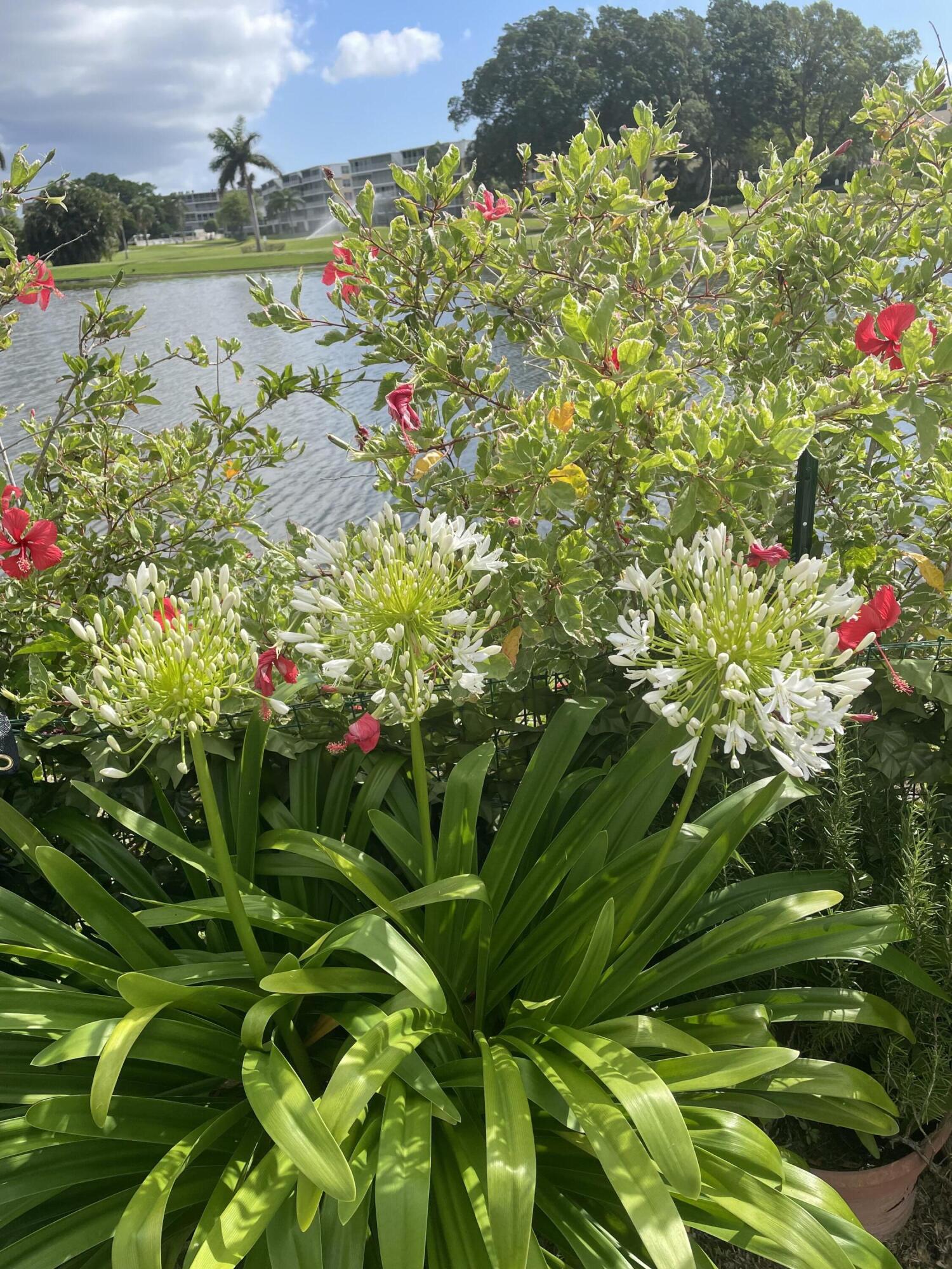 MLS #RX-11136854 image #27