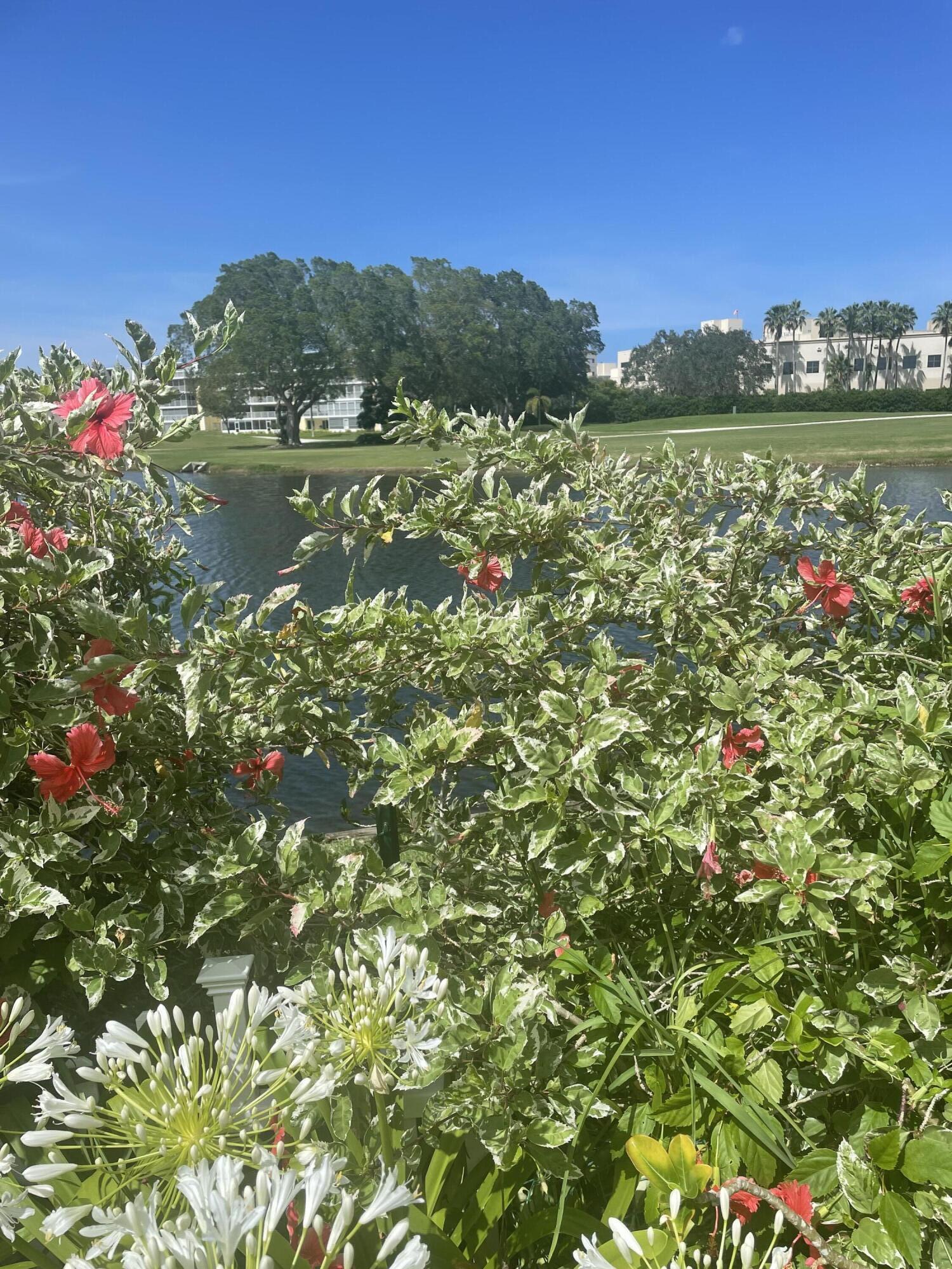 MLS #RX-11136854 image #28