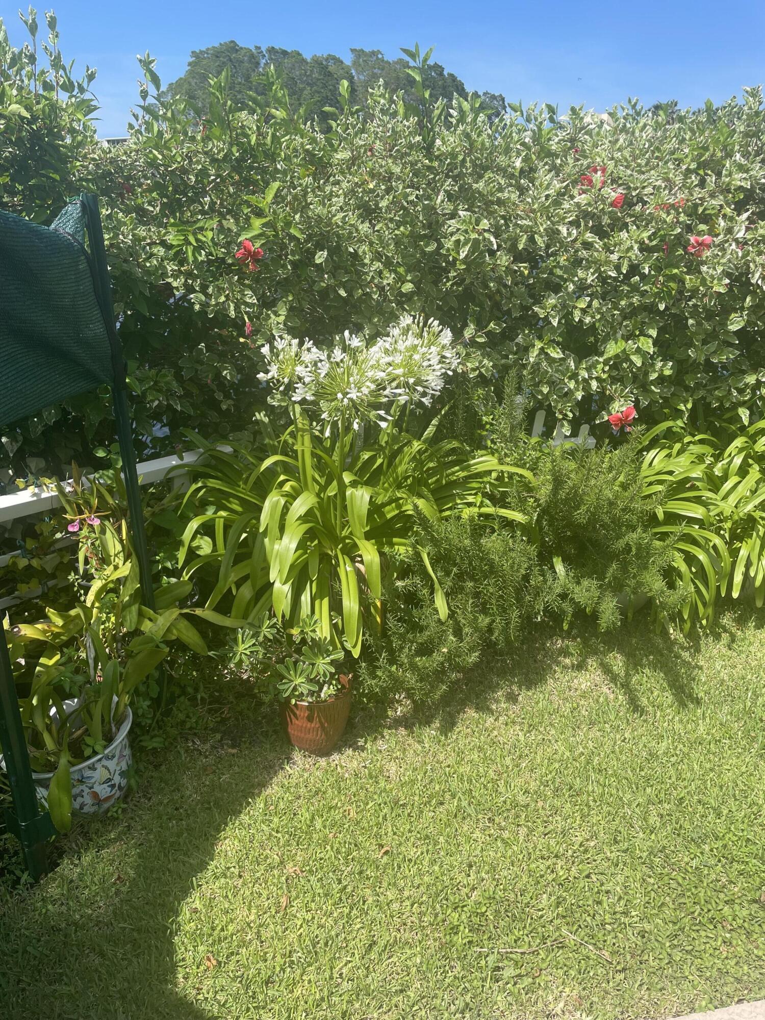 MLS #RX-11136854 image #29