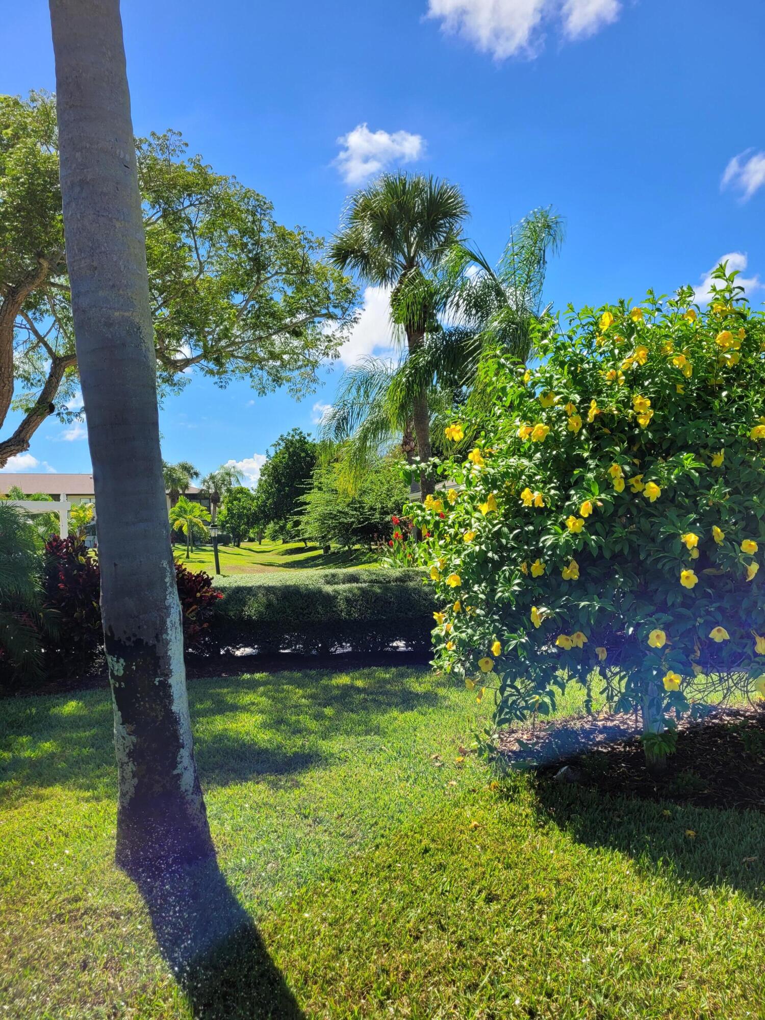 MLS #RX-11136908 image #43