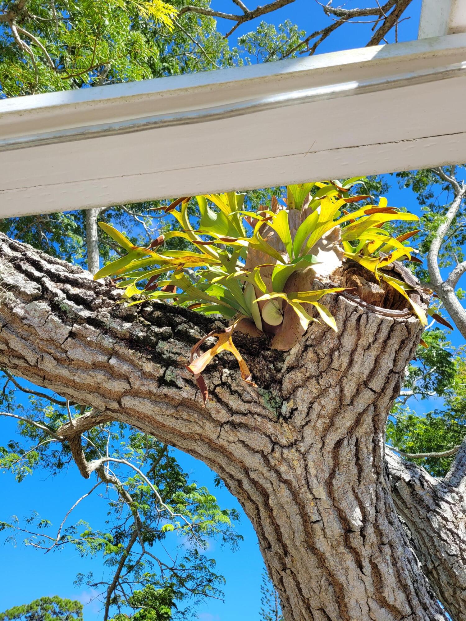 MLS #RX-11136908 image #51