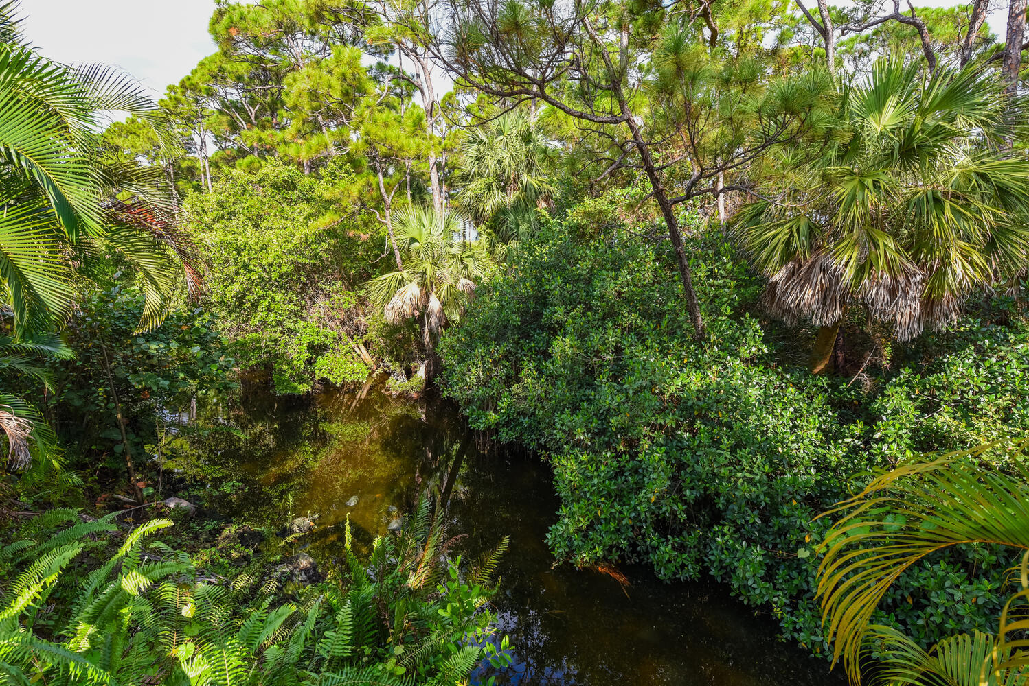 MLS #RX-11136960 image #43