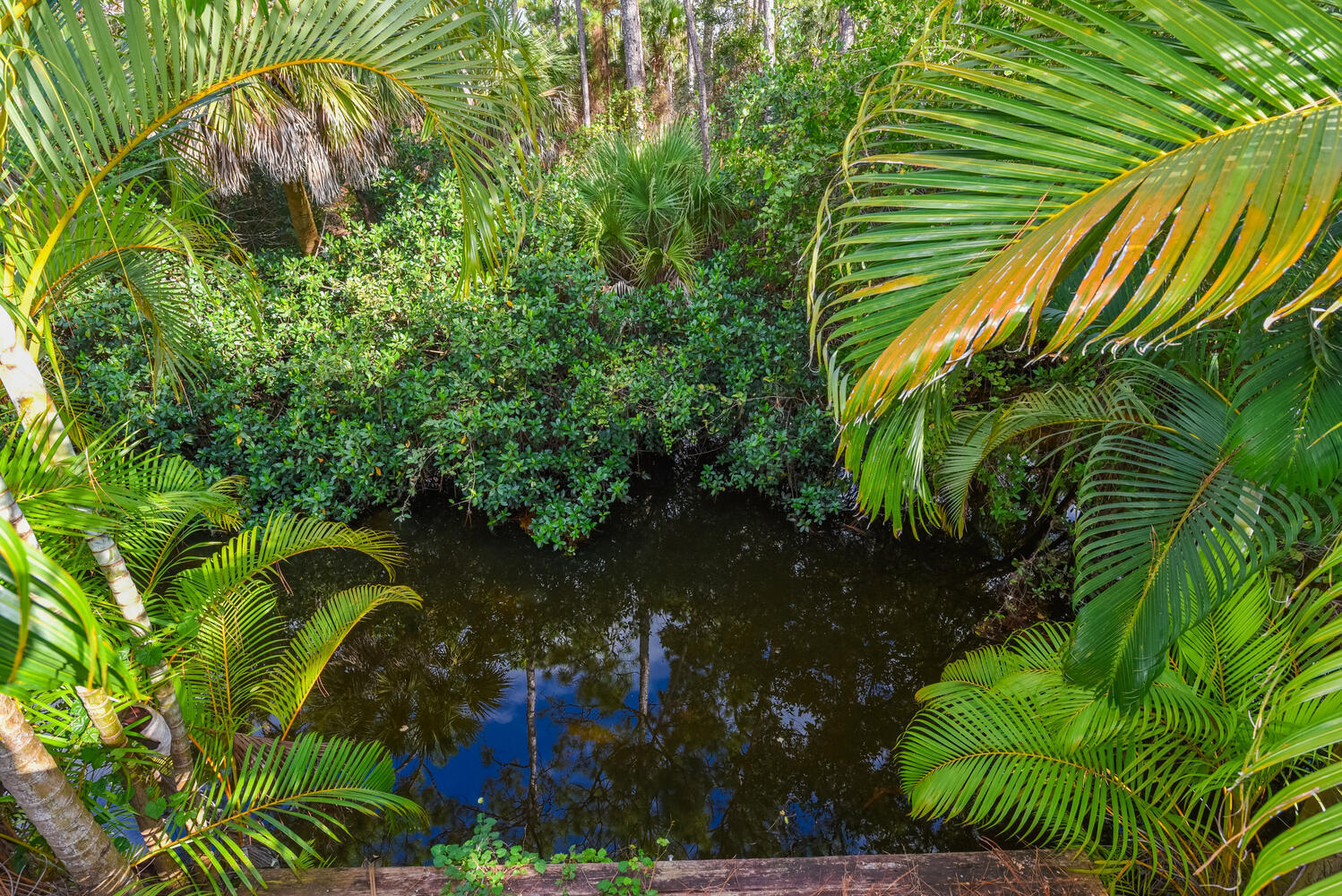 MLS #RX-11136960 image #44