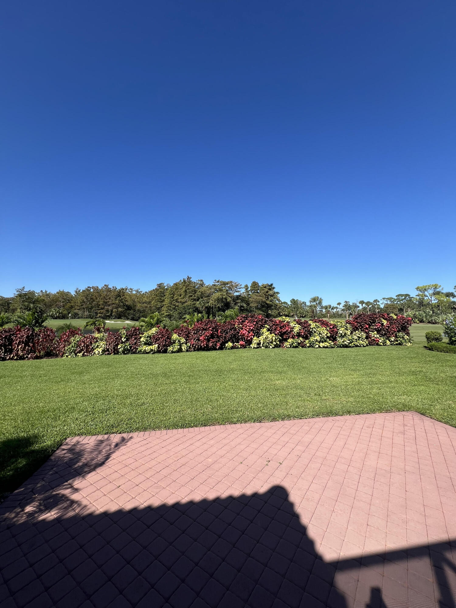 MLS #RX-11136995 image #10