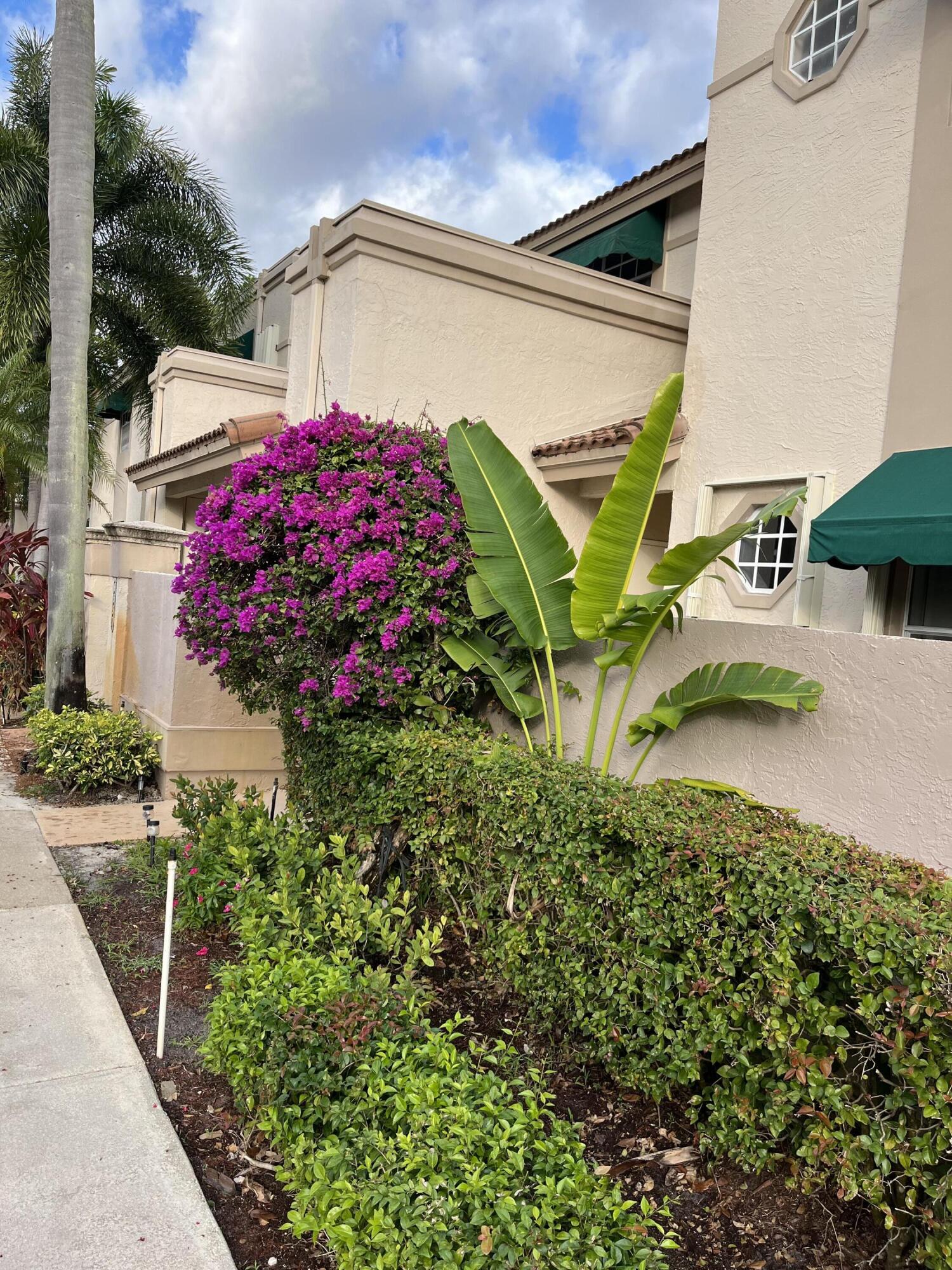 MLS #RX-11137027 image #4