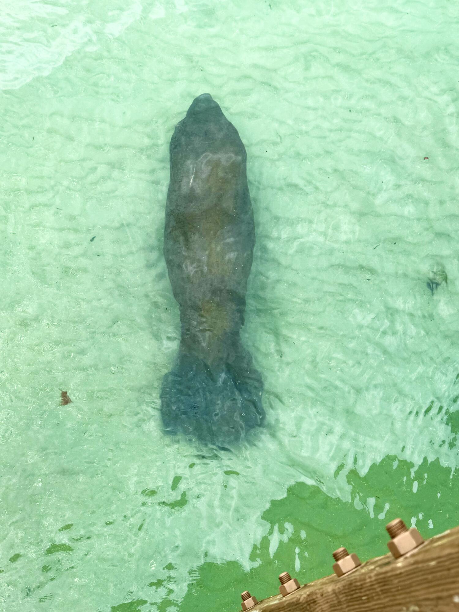 MLS #RX-11137116 image #28