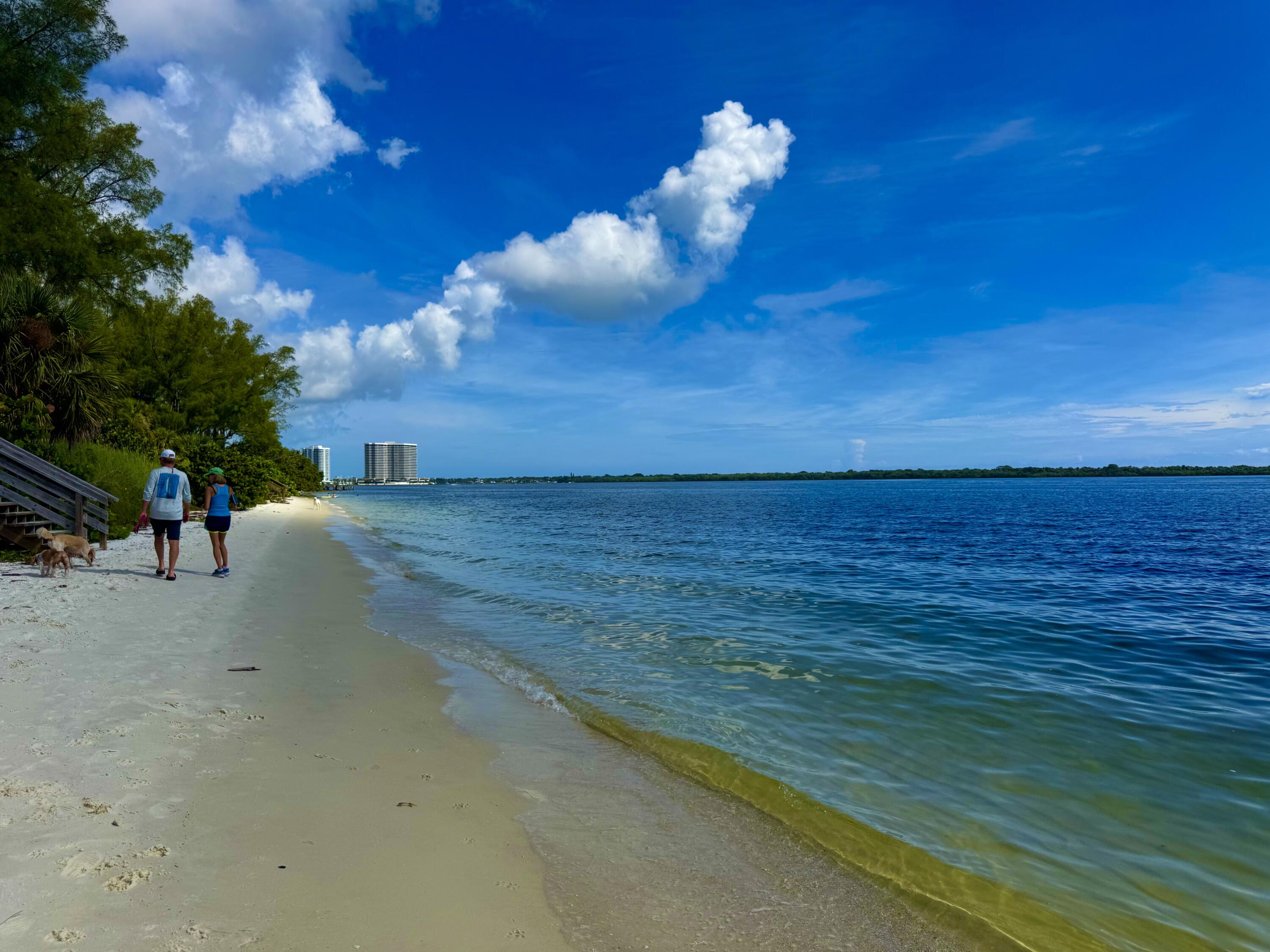 MLS #RX-11137116 image #29