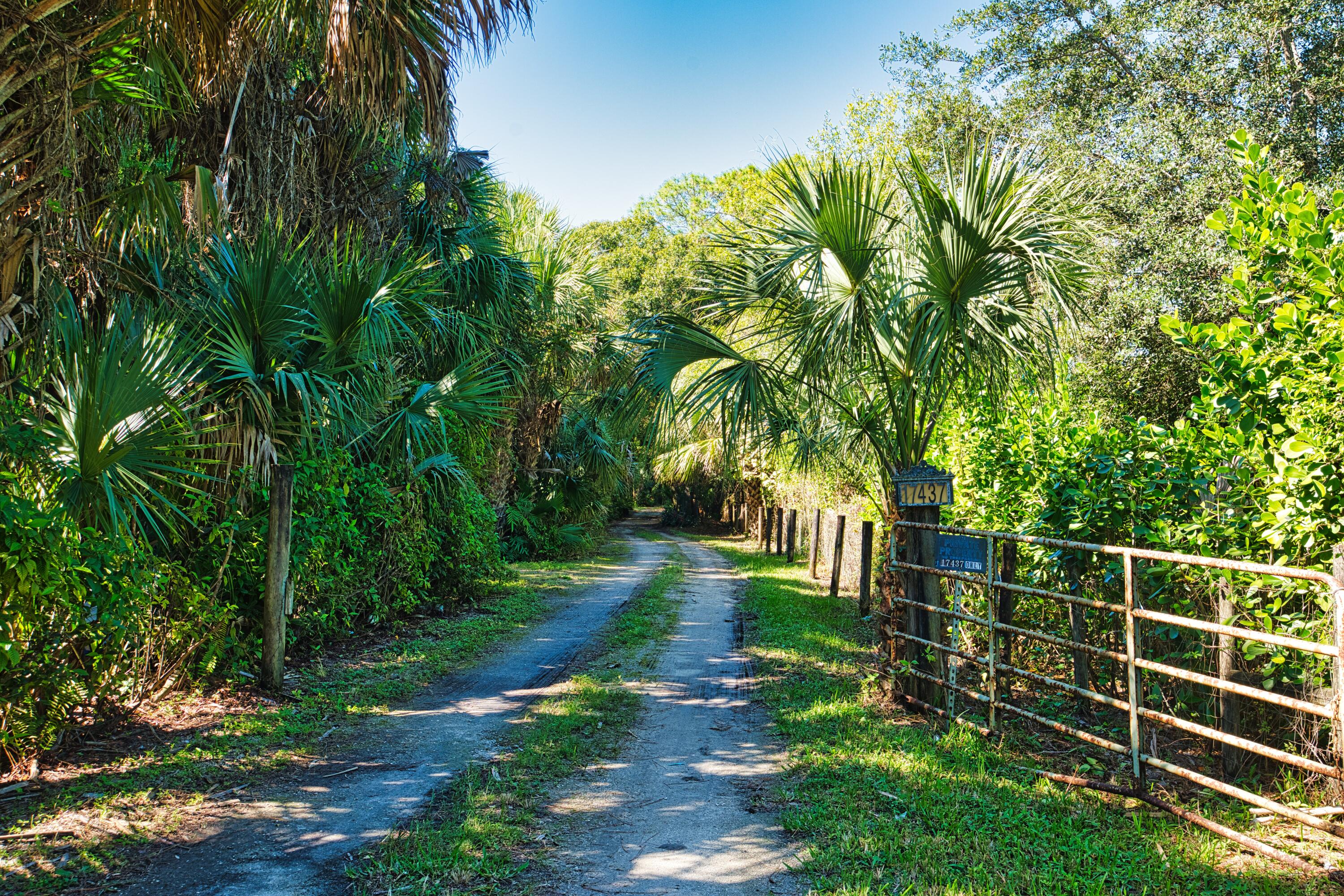 MLS #RX-11137267 image #1