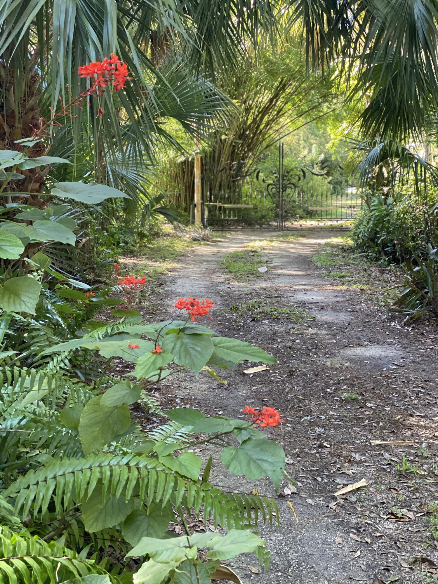 MLS #RX-11137267 image #3