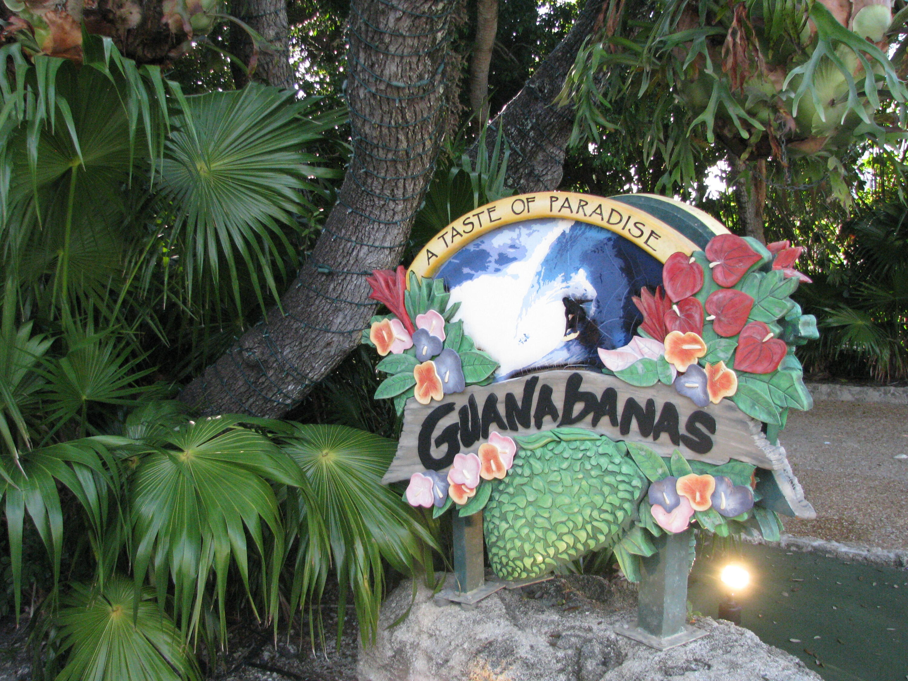 MLS #RX-11137267 image #32