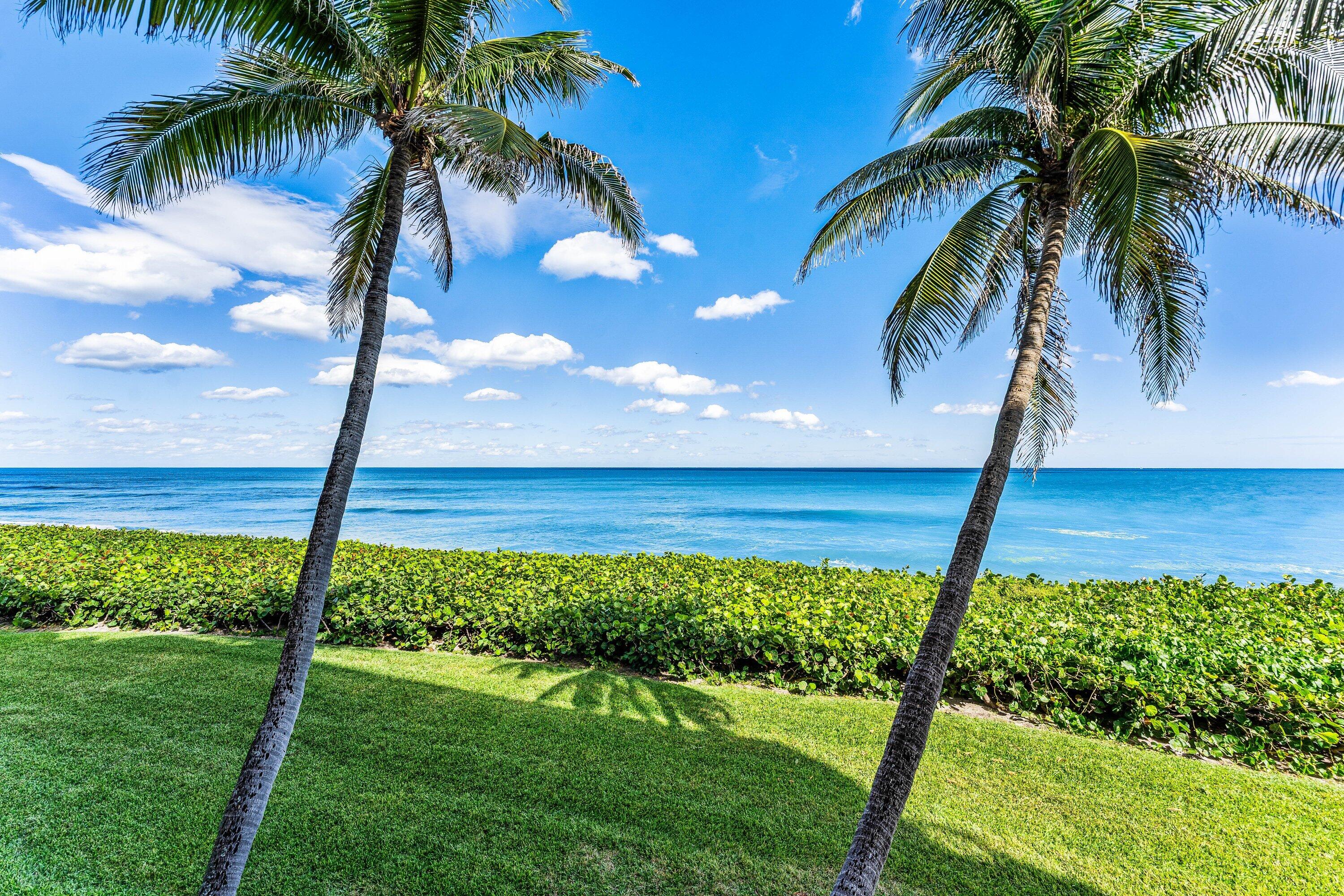 MLS #RX-11137356 image #9