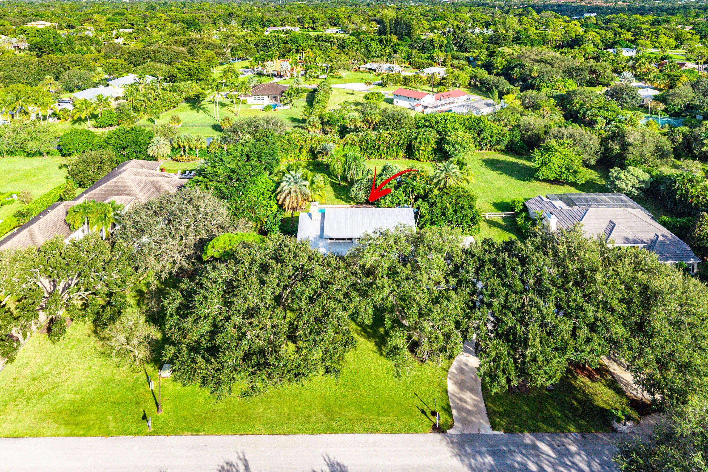 MLS #RX-11137544 image #12